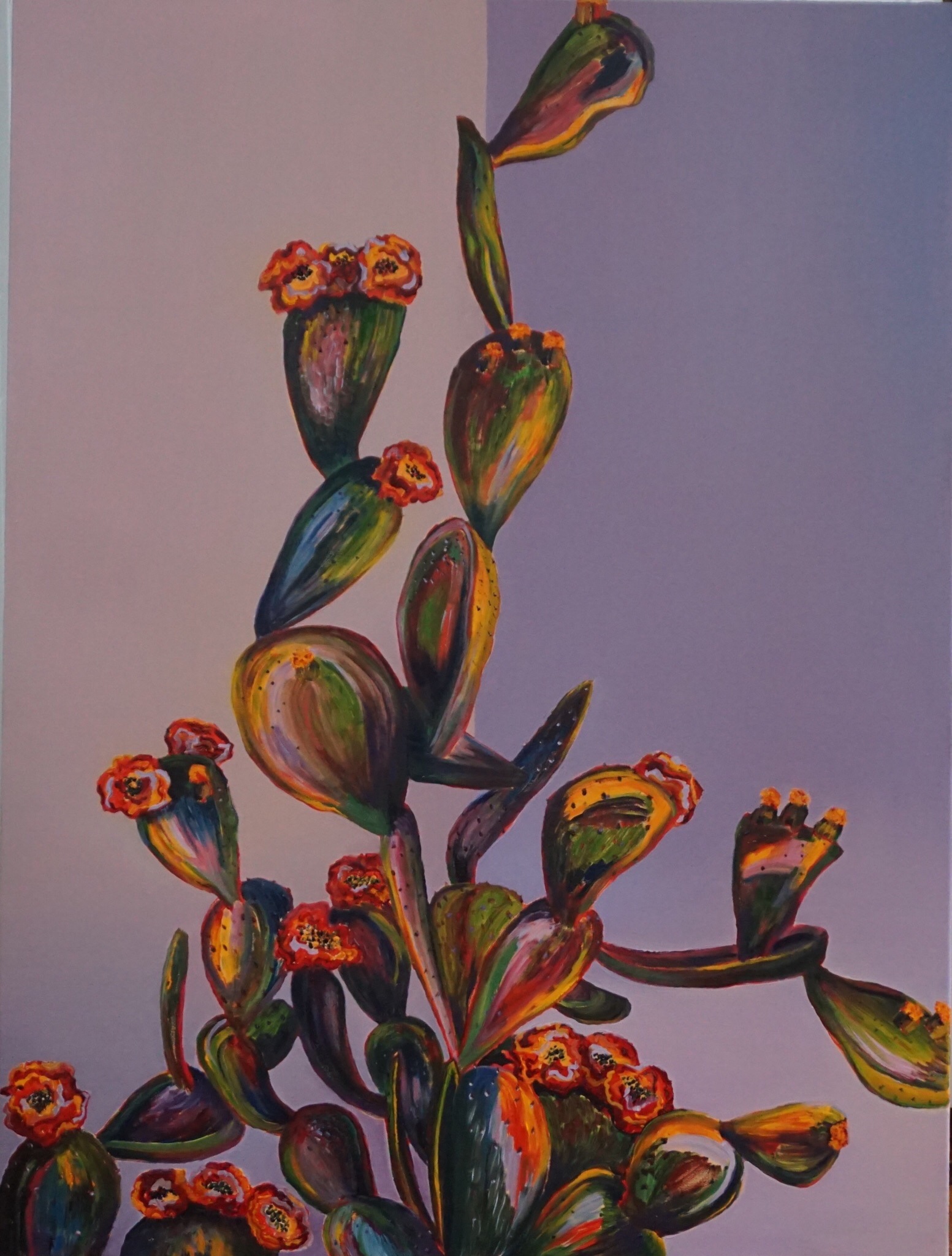 Desert Bloom Series, untitled