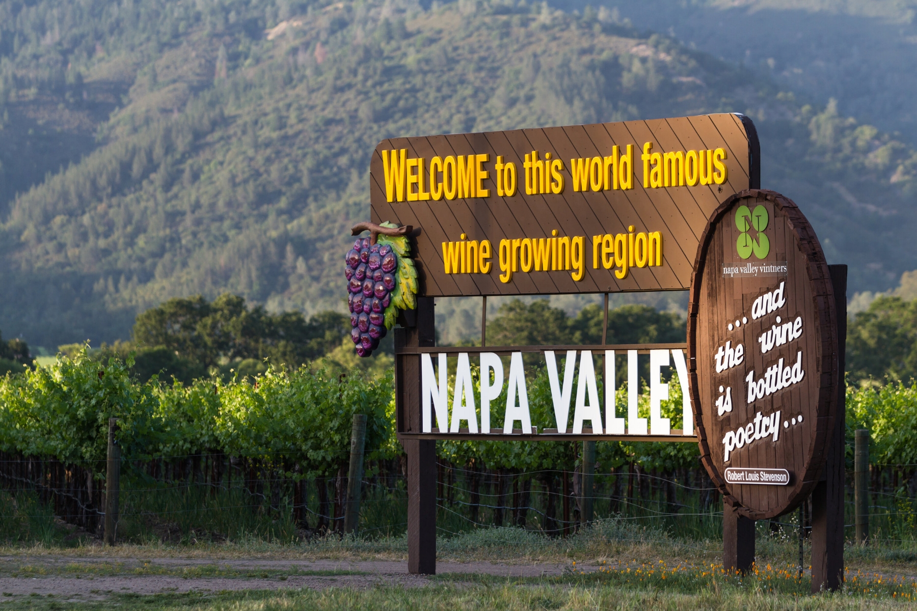 Napa Valley History - Pescado 30A.jpeg