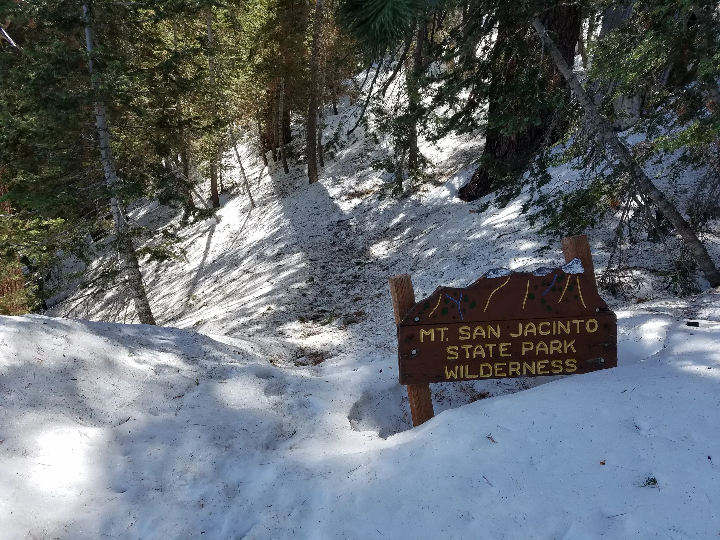 Low angle snow on Fuller Ridge in April. Pretty scary, I know.