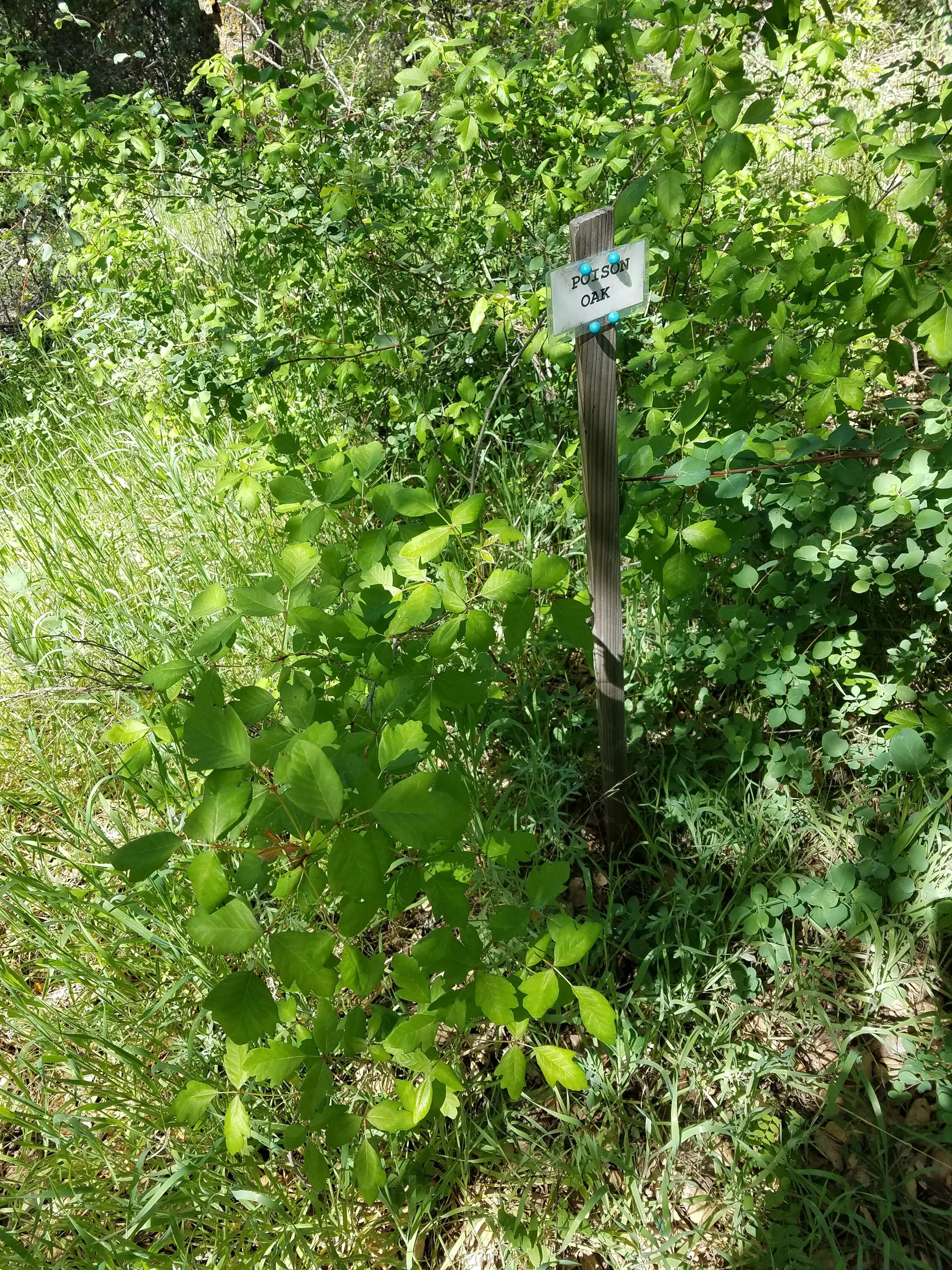 Nicely labeled so you know what you’re faceplanting into…