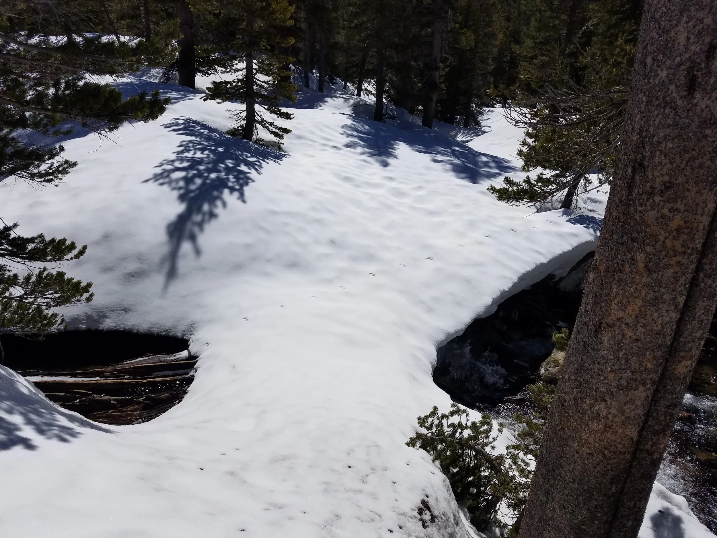 Falls Creek (a.k.a. Wide Creek) is the last major crossing in Yosemite. At the trail, it's a 20 foot swim across 8 ft deep water. This is what it looked like four miles upstream.