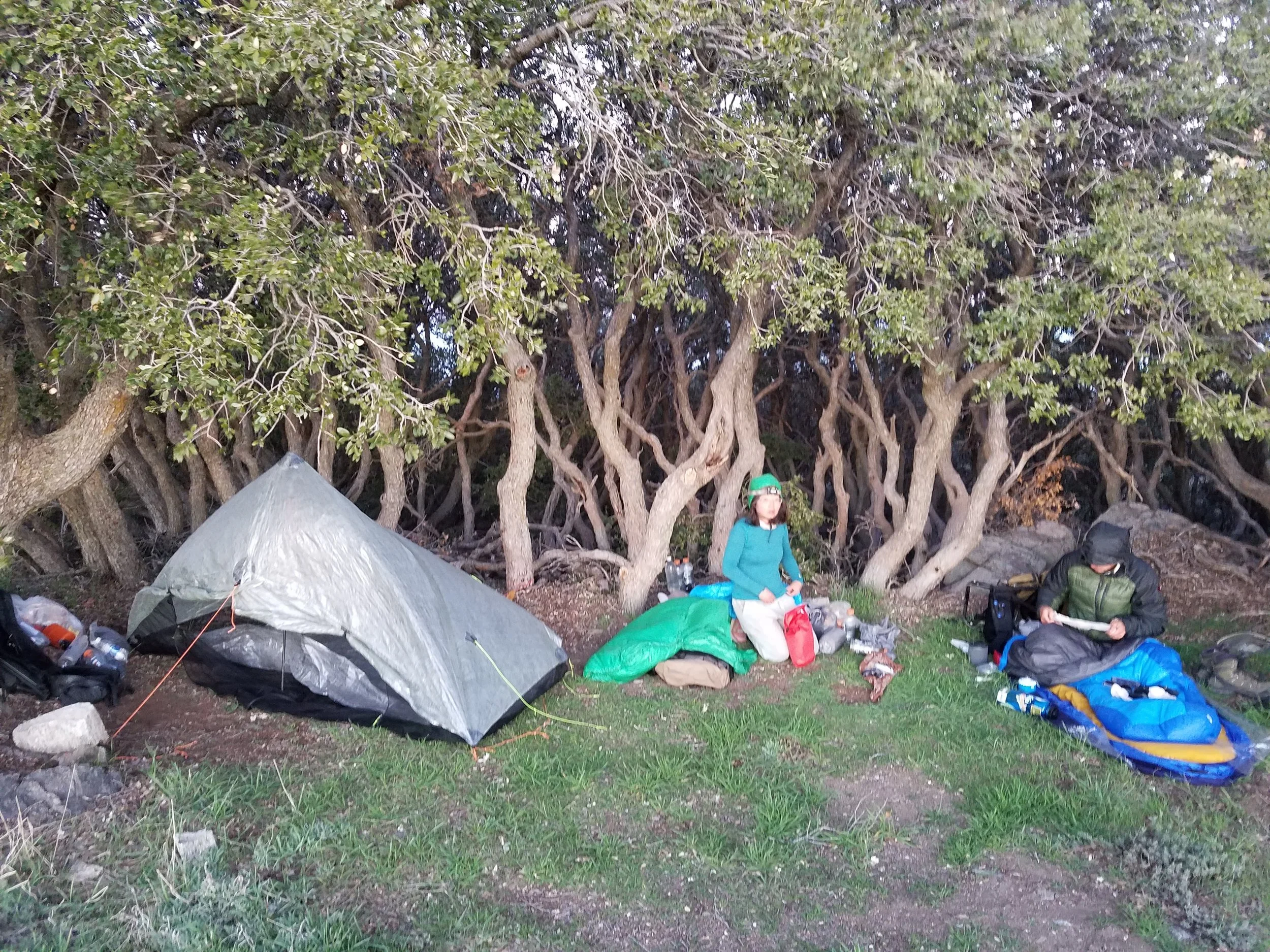 20170404_062057.jpg