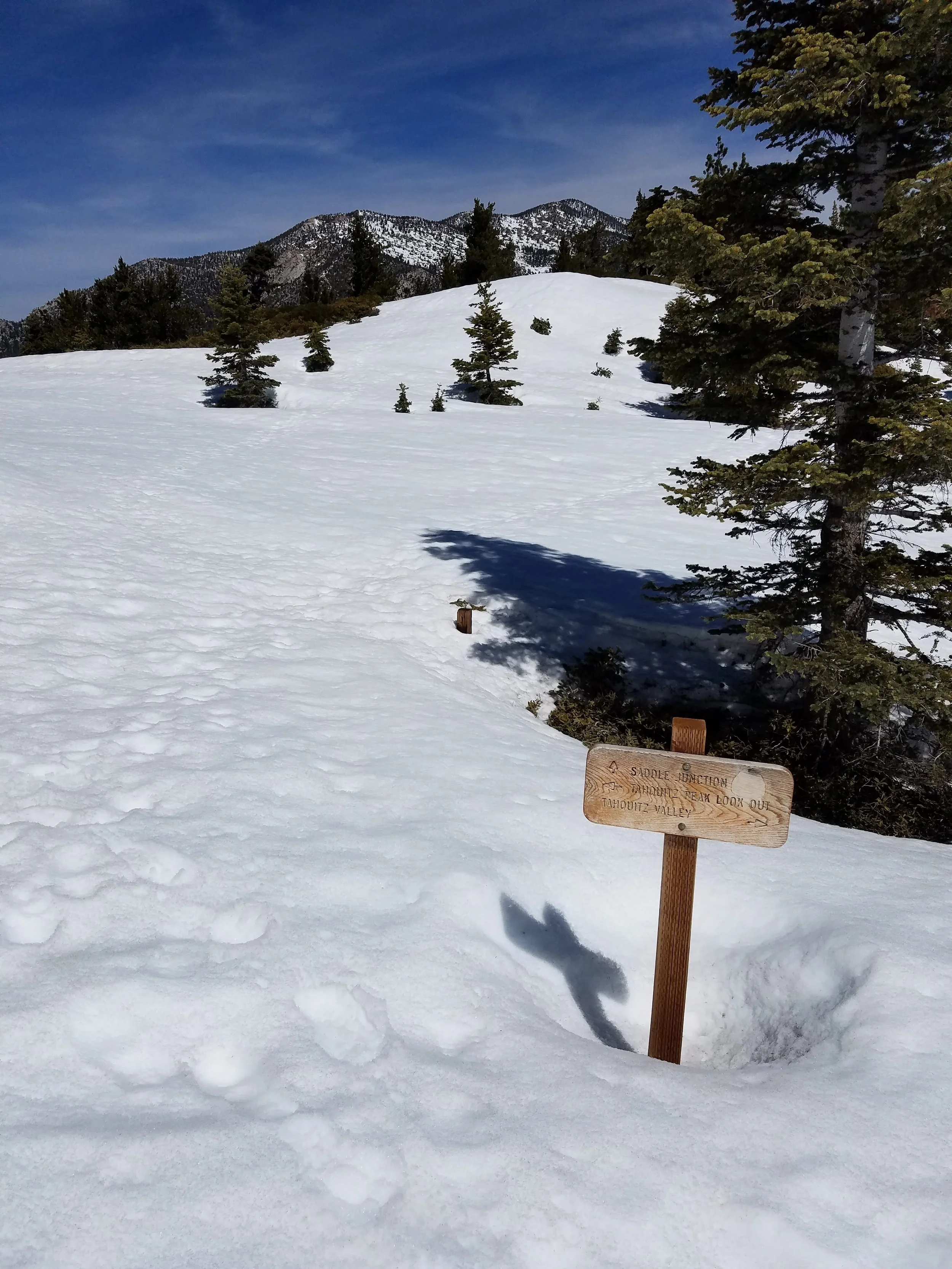 Back on the PCT! Somewhere under there...