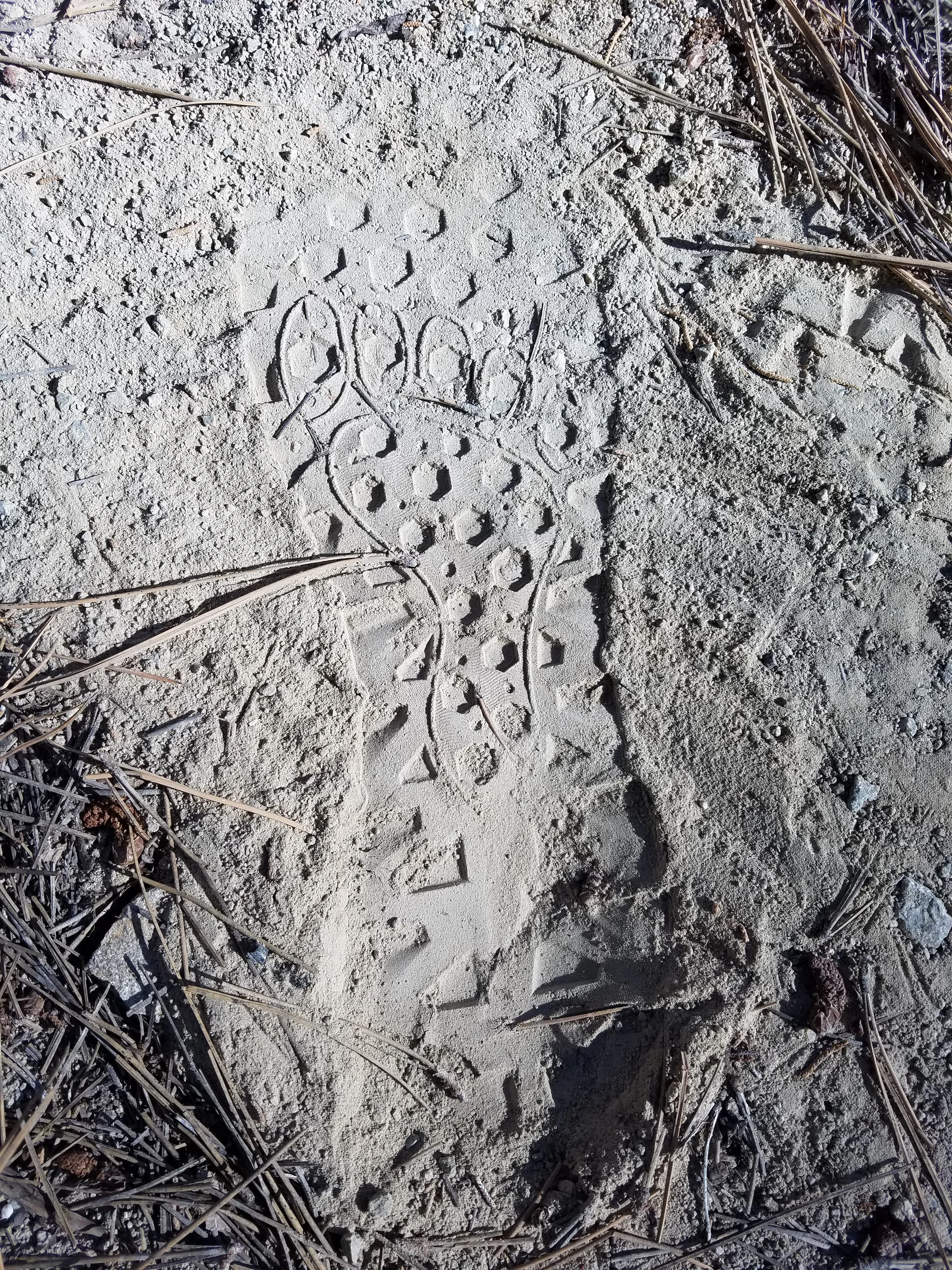 My footprint in the soft silt at Caribou Creek.