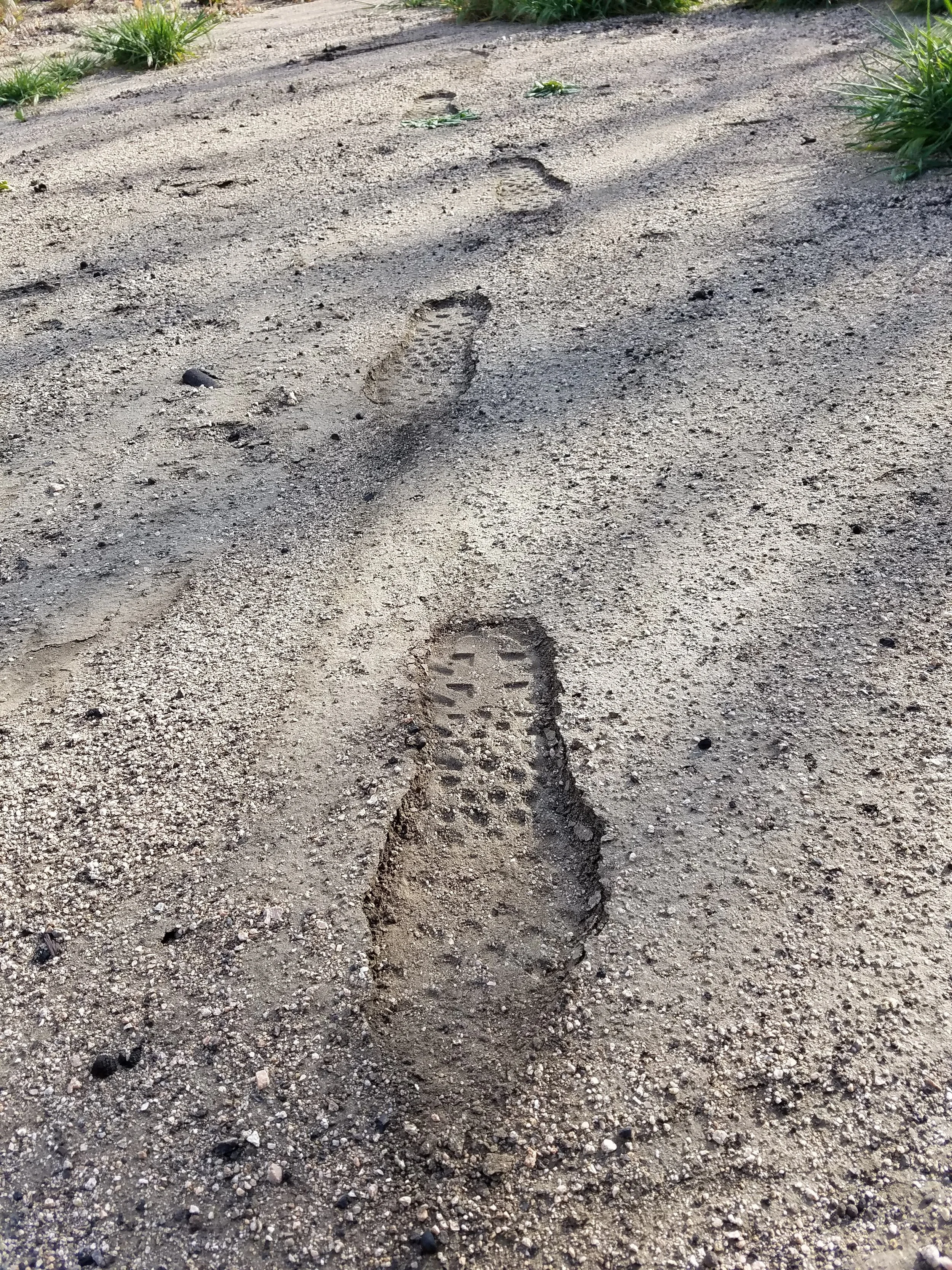 Soft dirt through the burned section I had to pitch my tent on top of.