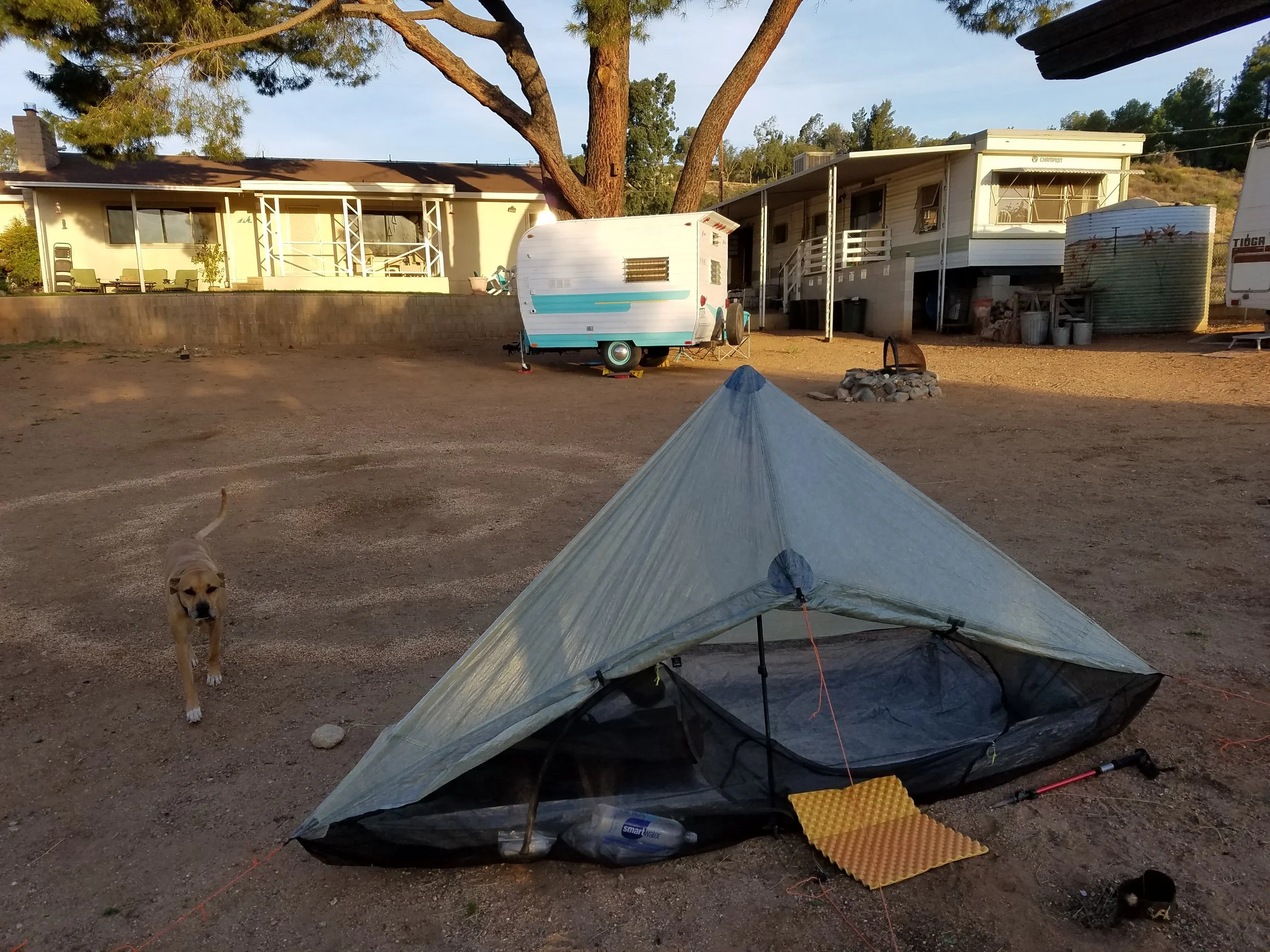 Set up at Hiker Heaven for the night. Plenty of pups to keep you company!