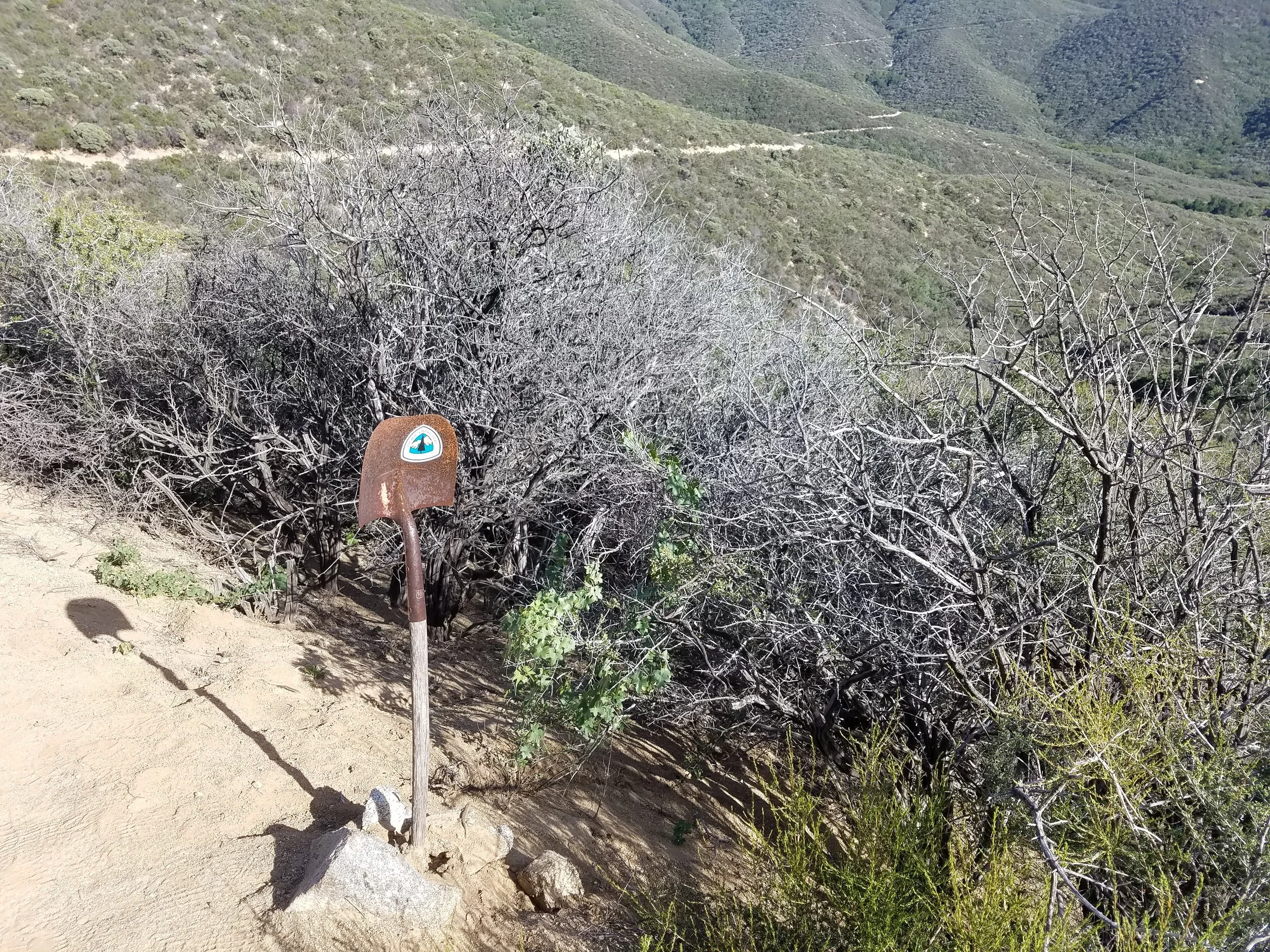 Pretty cool trail sign near the end of the day.
