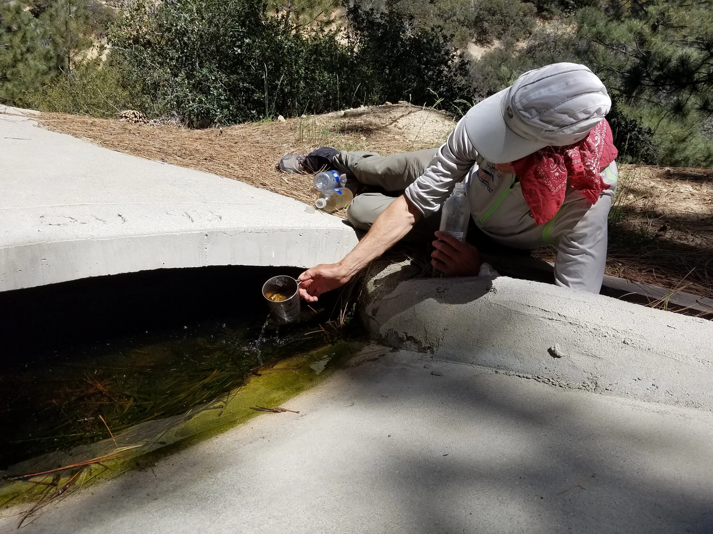 Yukon Jack collecting some yummy guzzler water.