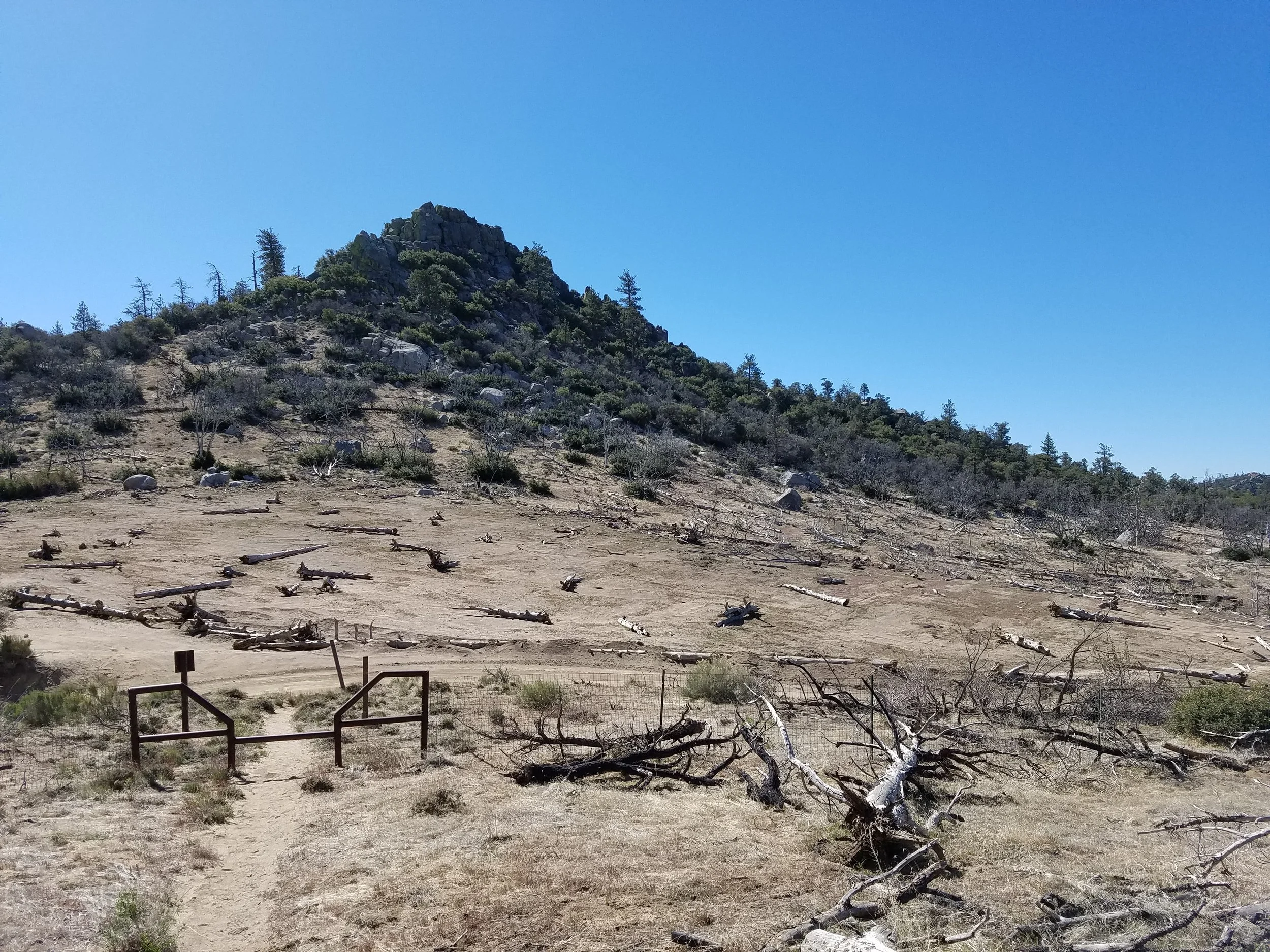 Desolate burn area