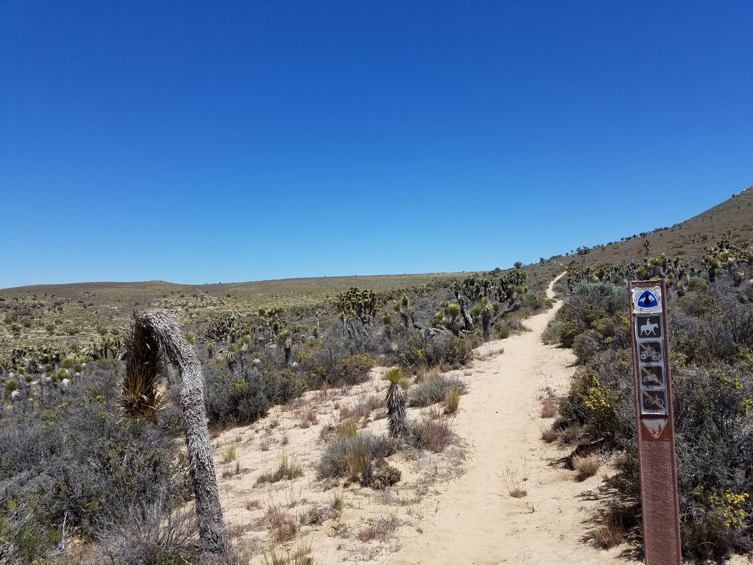 It took a few hundred miles, but I was definitely in the desert...