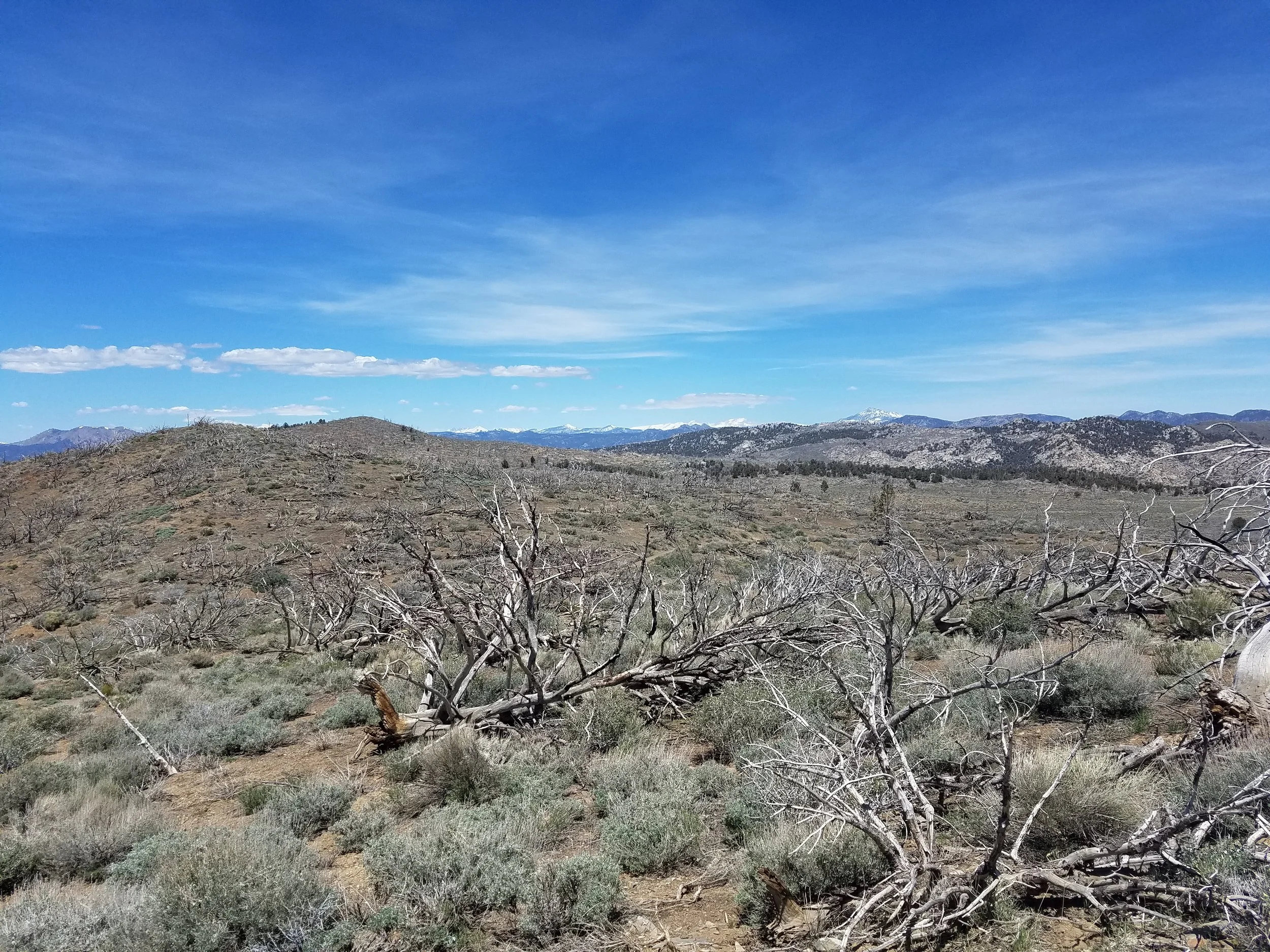 White, jagged peaks waiting for me on the horizon...