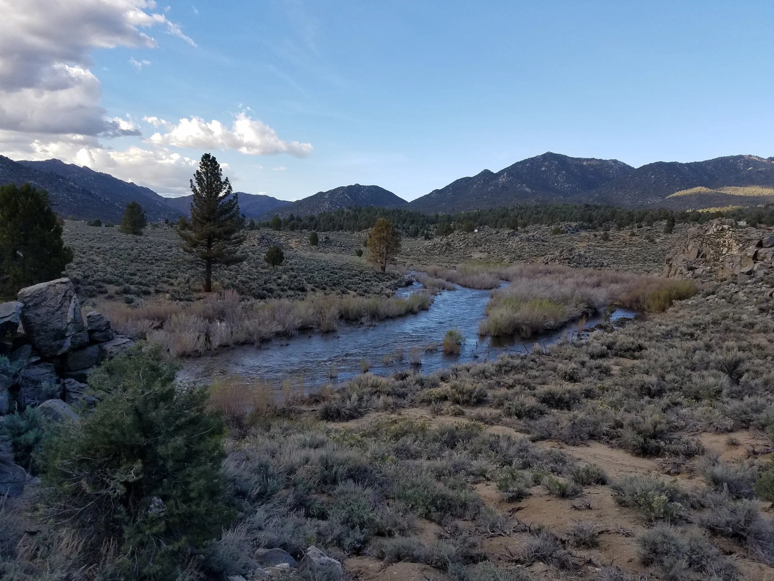 The swollen South Fork of the Kern River
