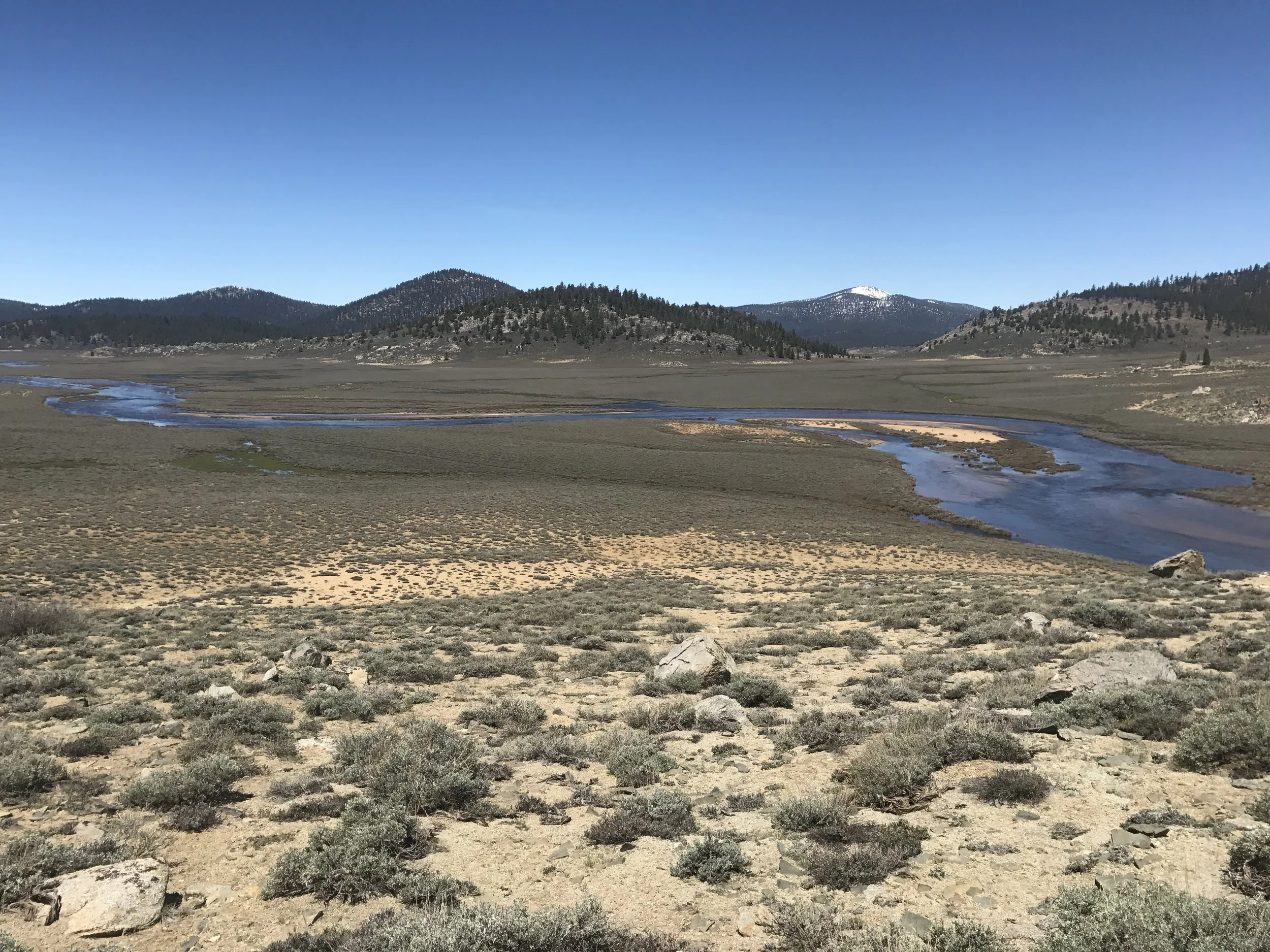 South Fork of the Kern River, swollen from the huge amount of snowmelt upstream.