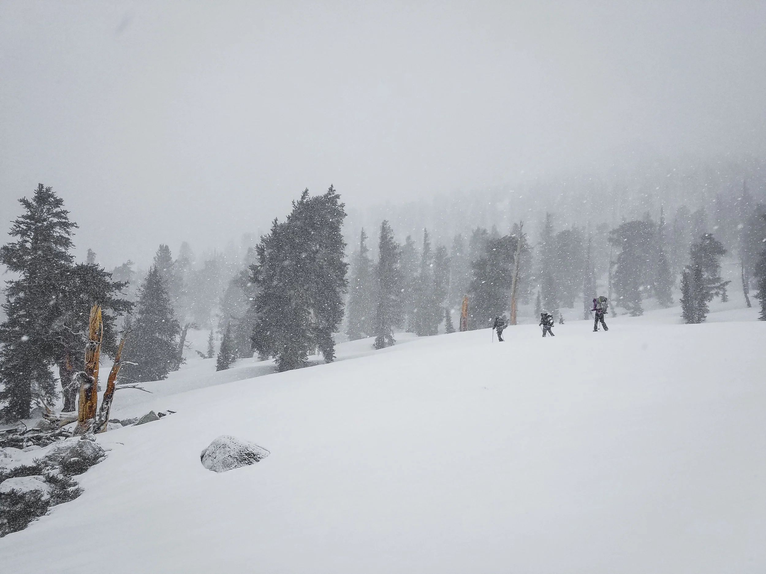 Working our way through the snowstorm on our way to Cottonwood Pass.