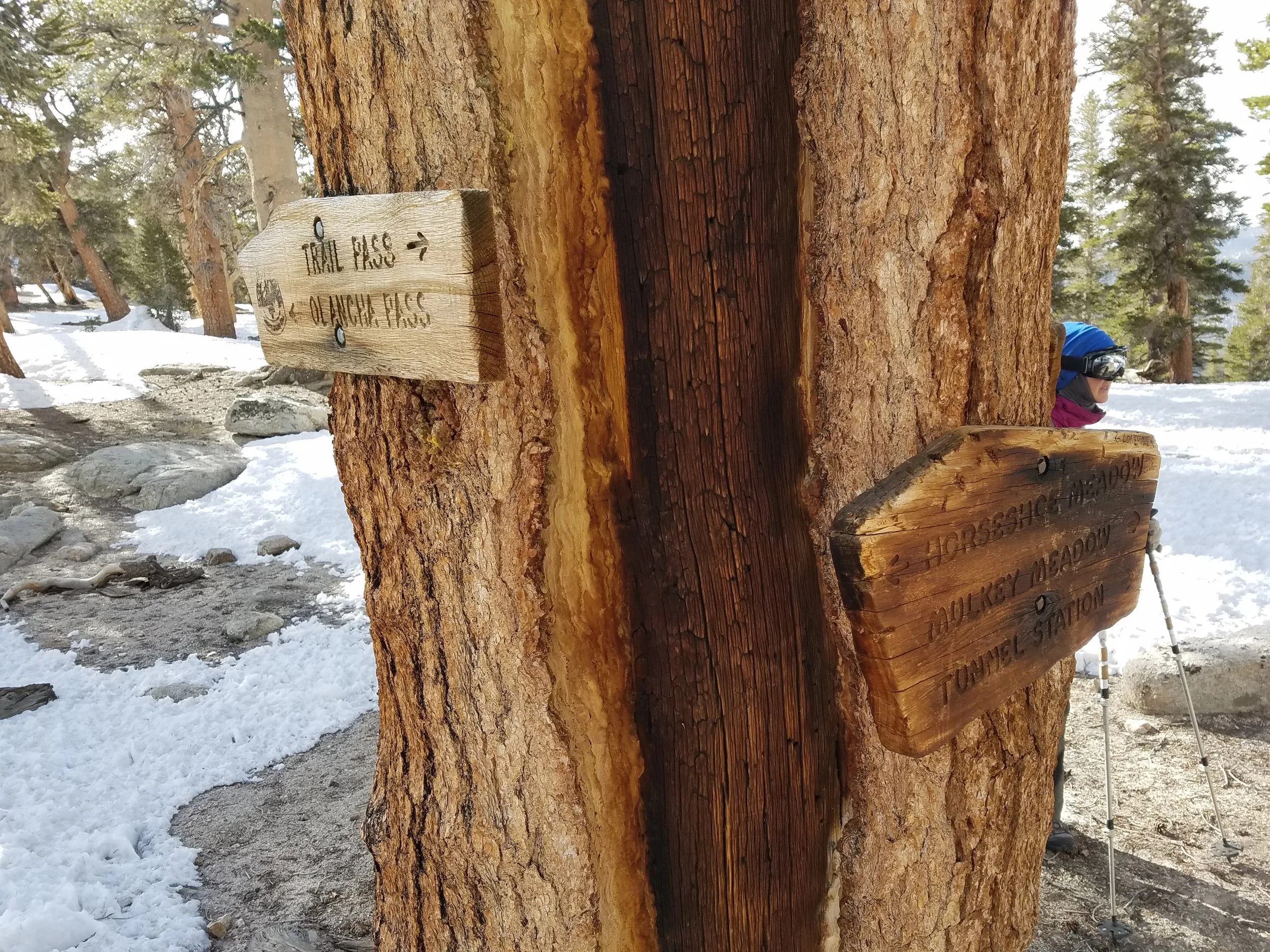 Trail sign at Mulkey Pass headed to Trail Pass, our first potential bail point.