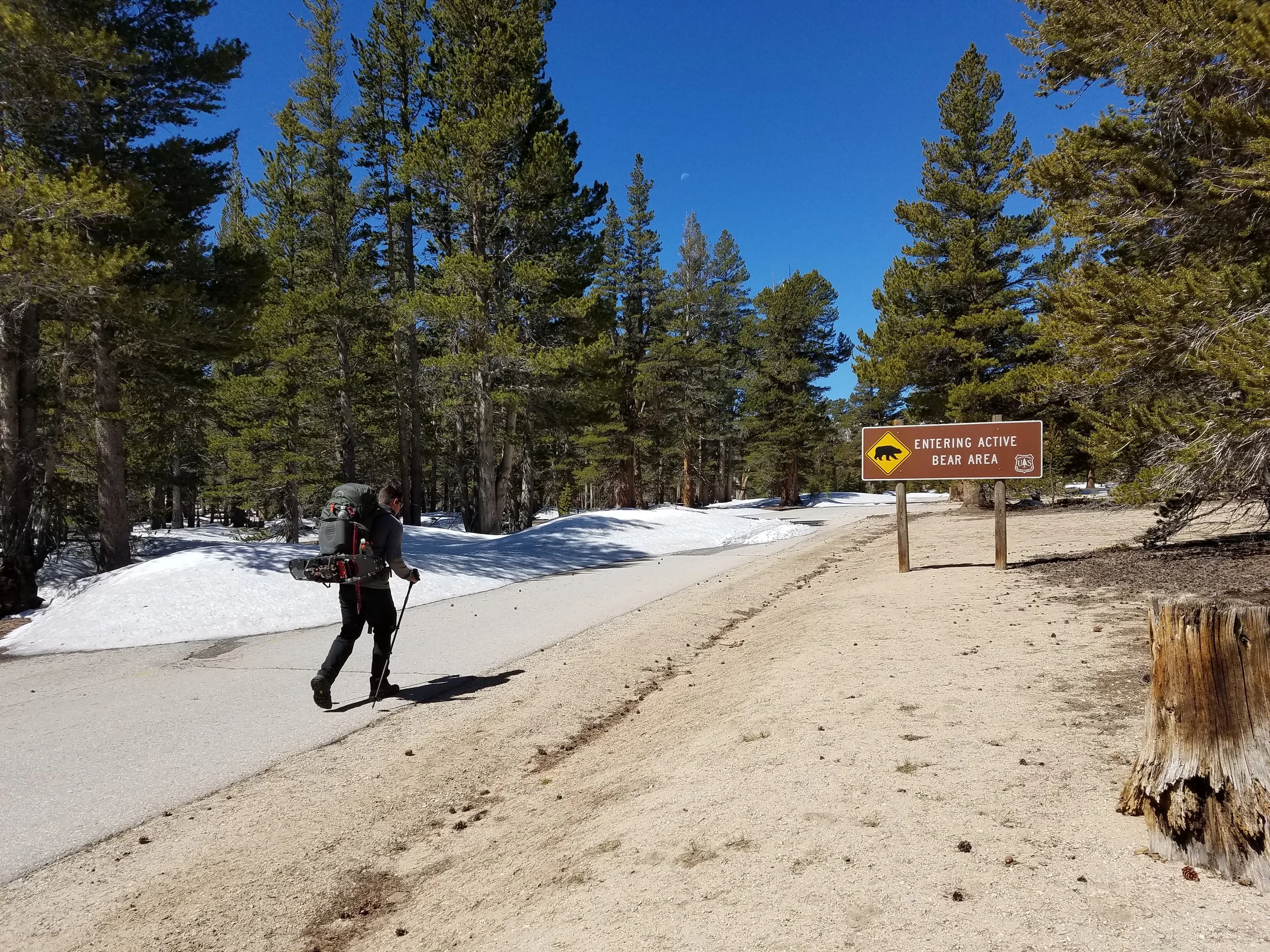 Heading back into bear country... although we hadn't seen any tracks yet.