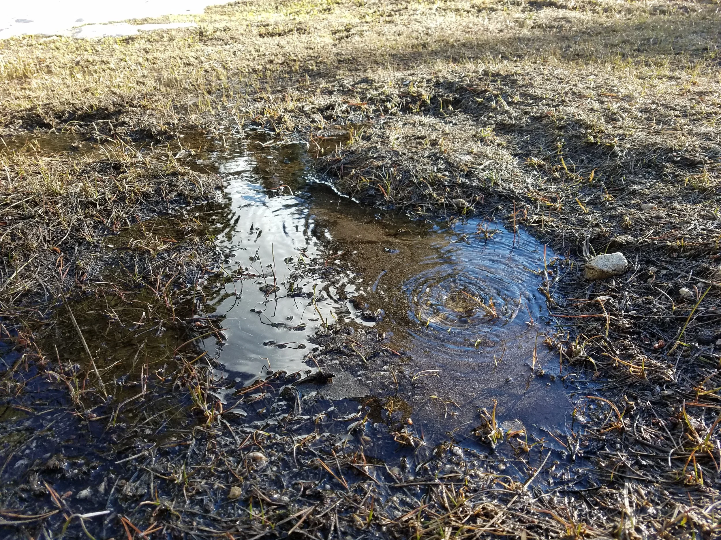 Our bubbling camp spring!