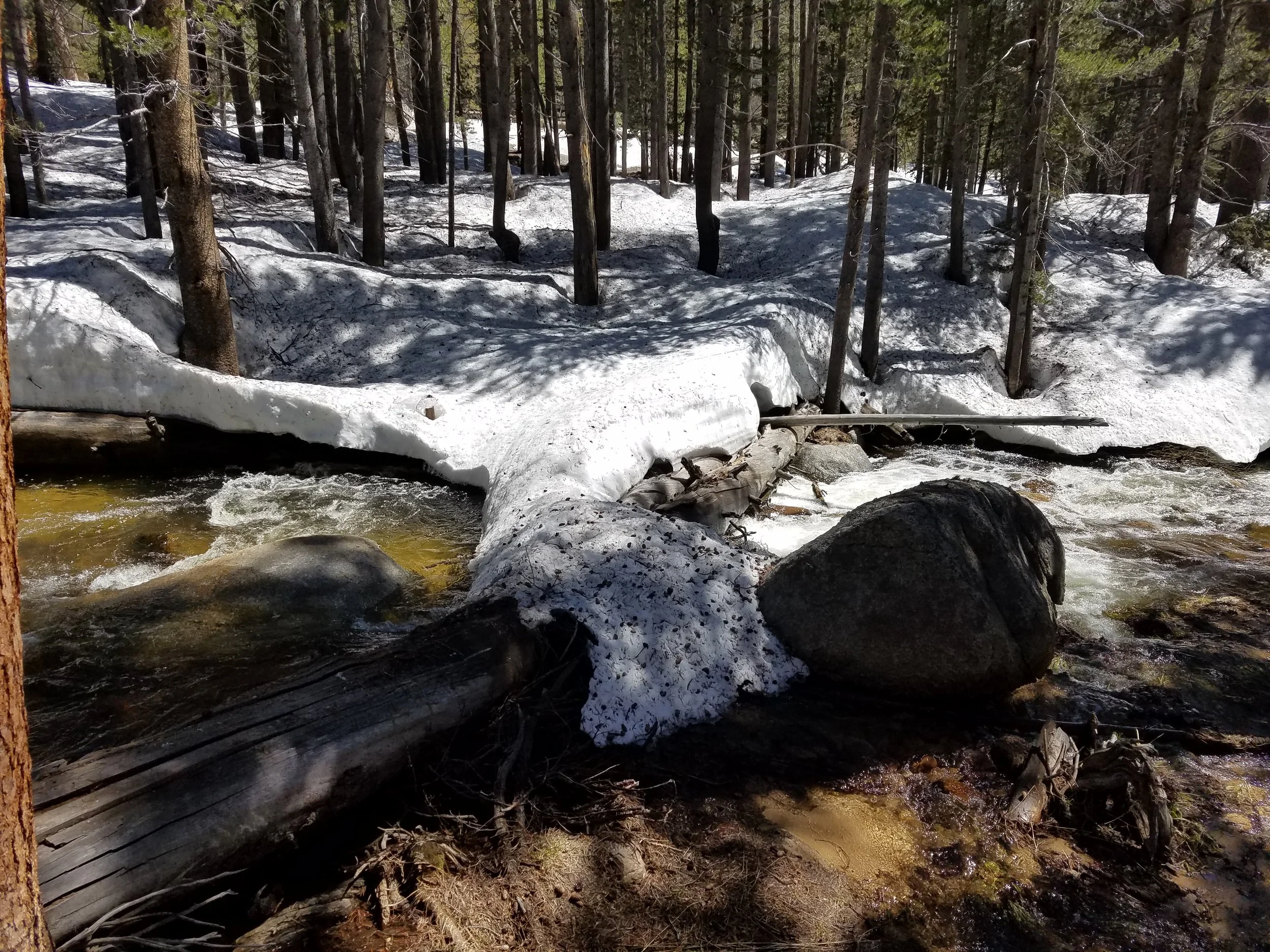 The safest crossing along Rock Creek.