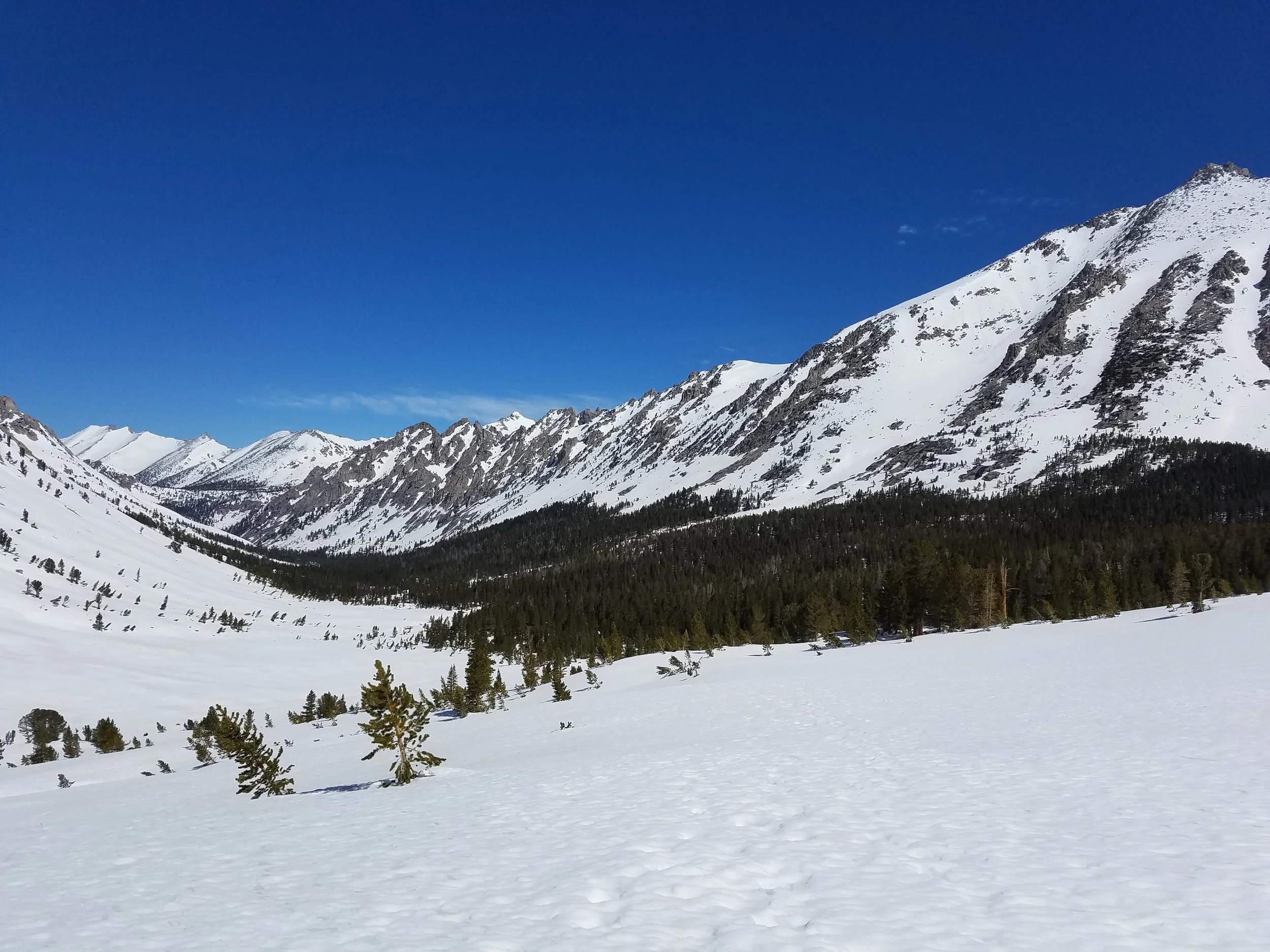 May 2017 - Looking north along Bubbs Creek drainage. Where'd the people go??