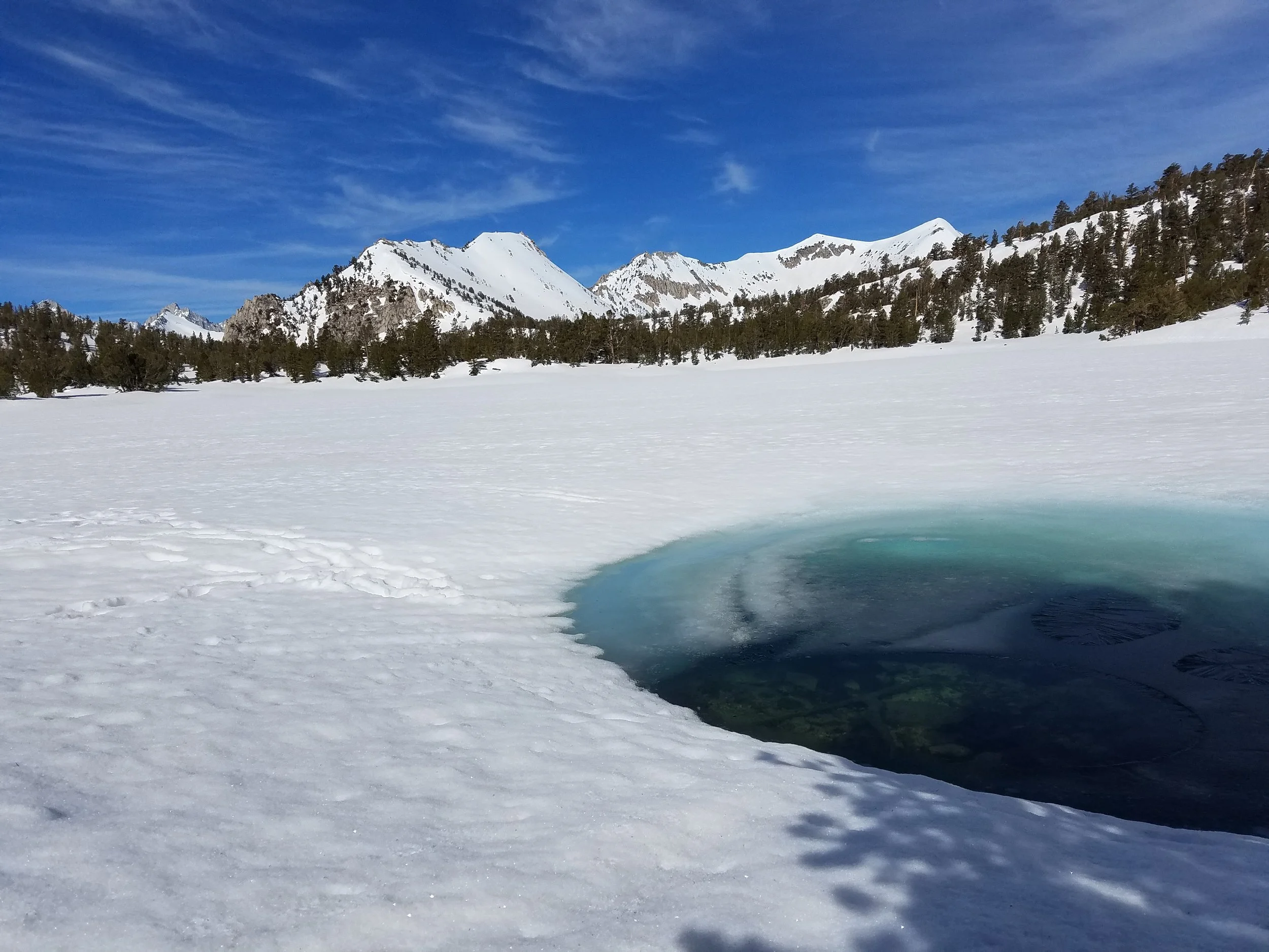 The ol' watering hole (from the footprints to the left).