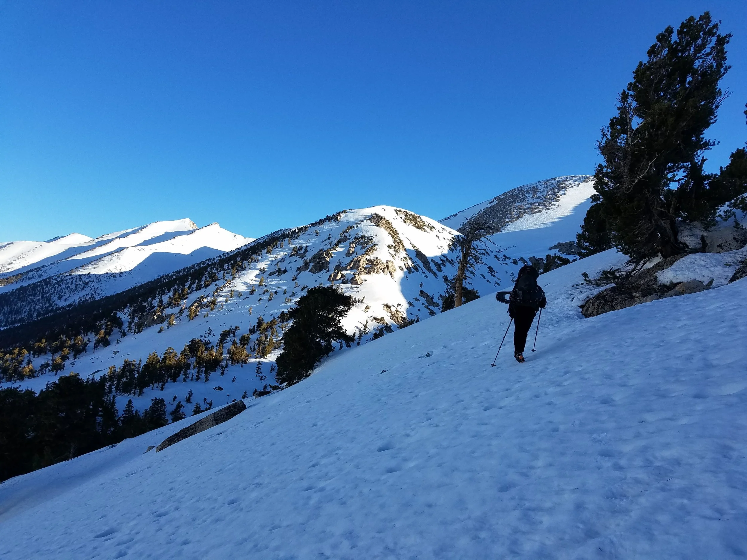 Amped side-hilling up to Glen Pass in the early morning.
