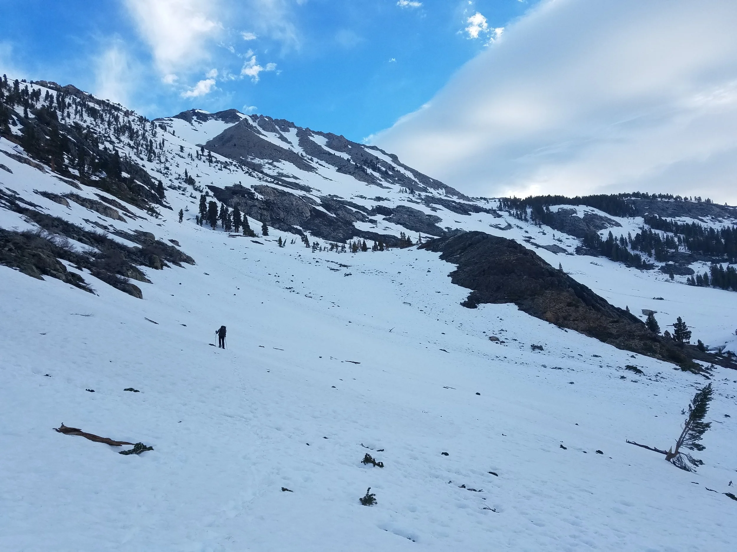 Amped headed up the Woods Creek drainage in the early morning.
