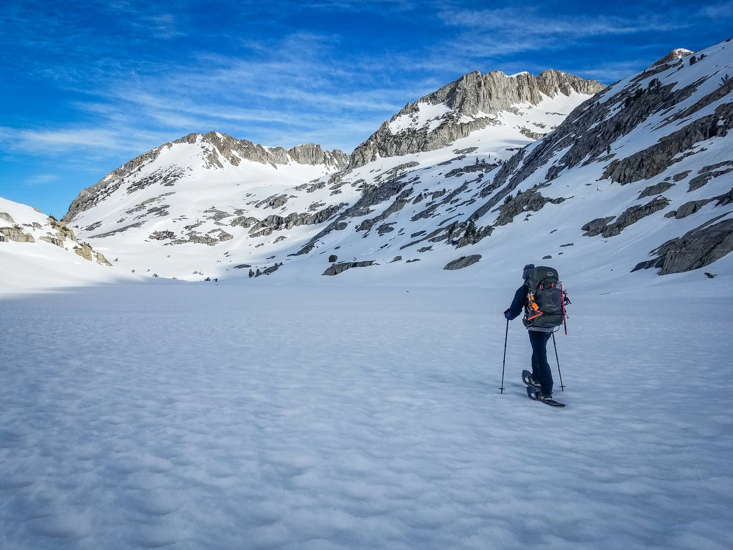 Amped walking across the Palisade Lakes Highway.