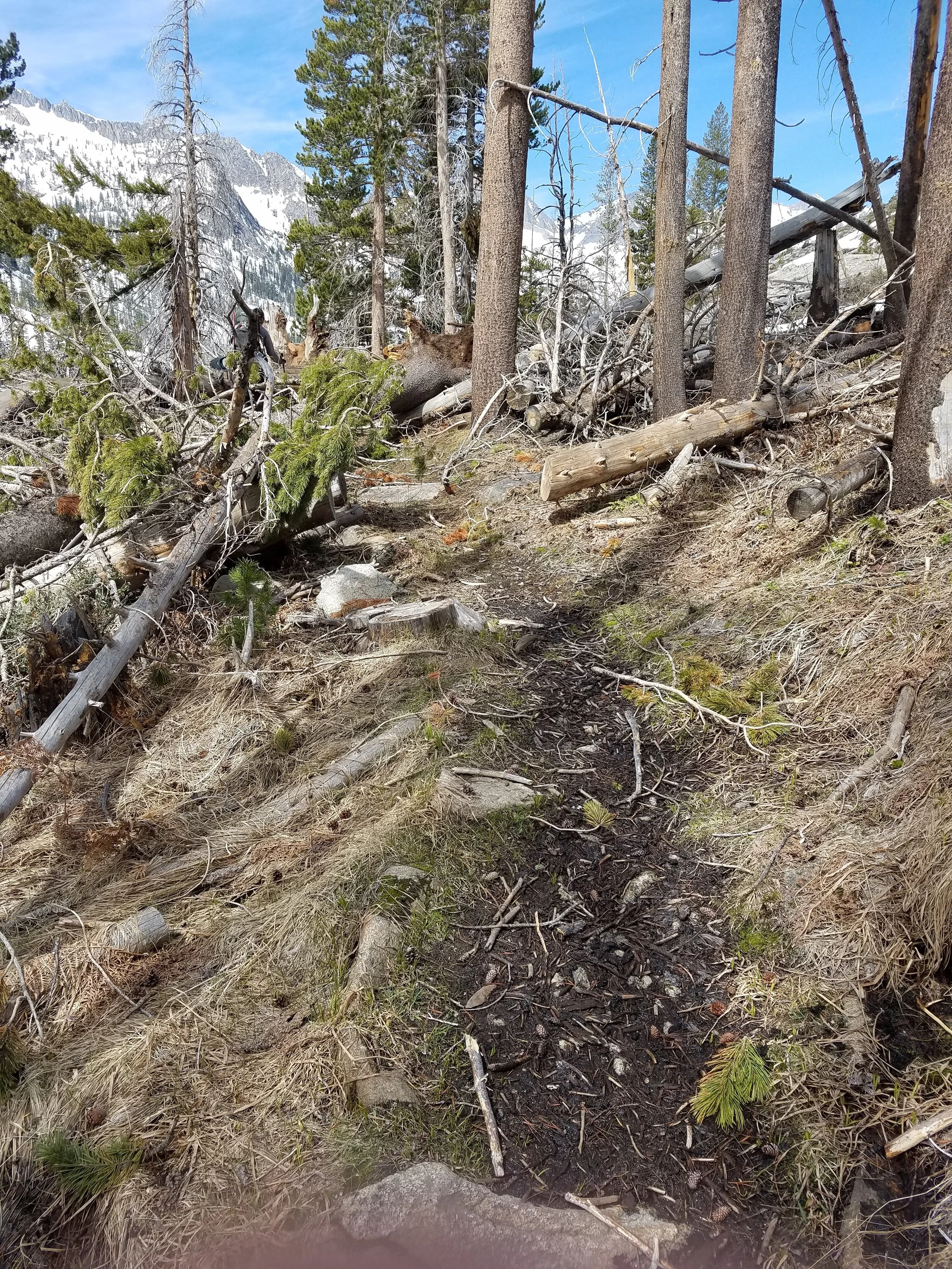 Dry trail! I could kiss you!