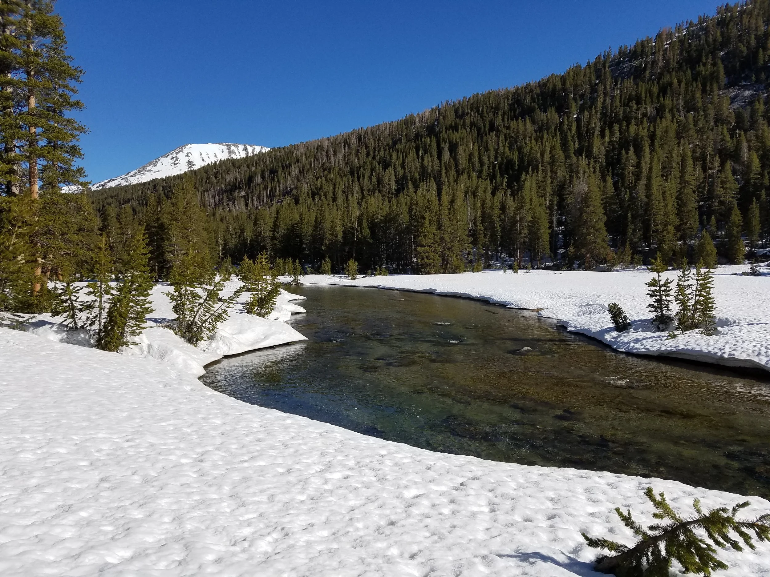 Traversing along Evolution Creek, thankfully on the right side...