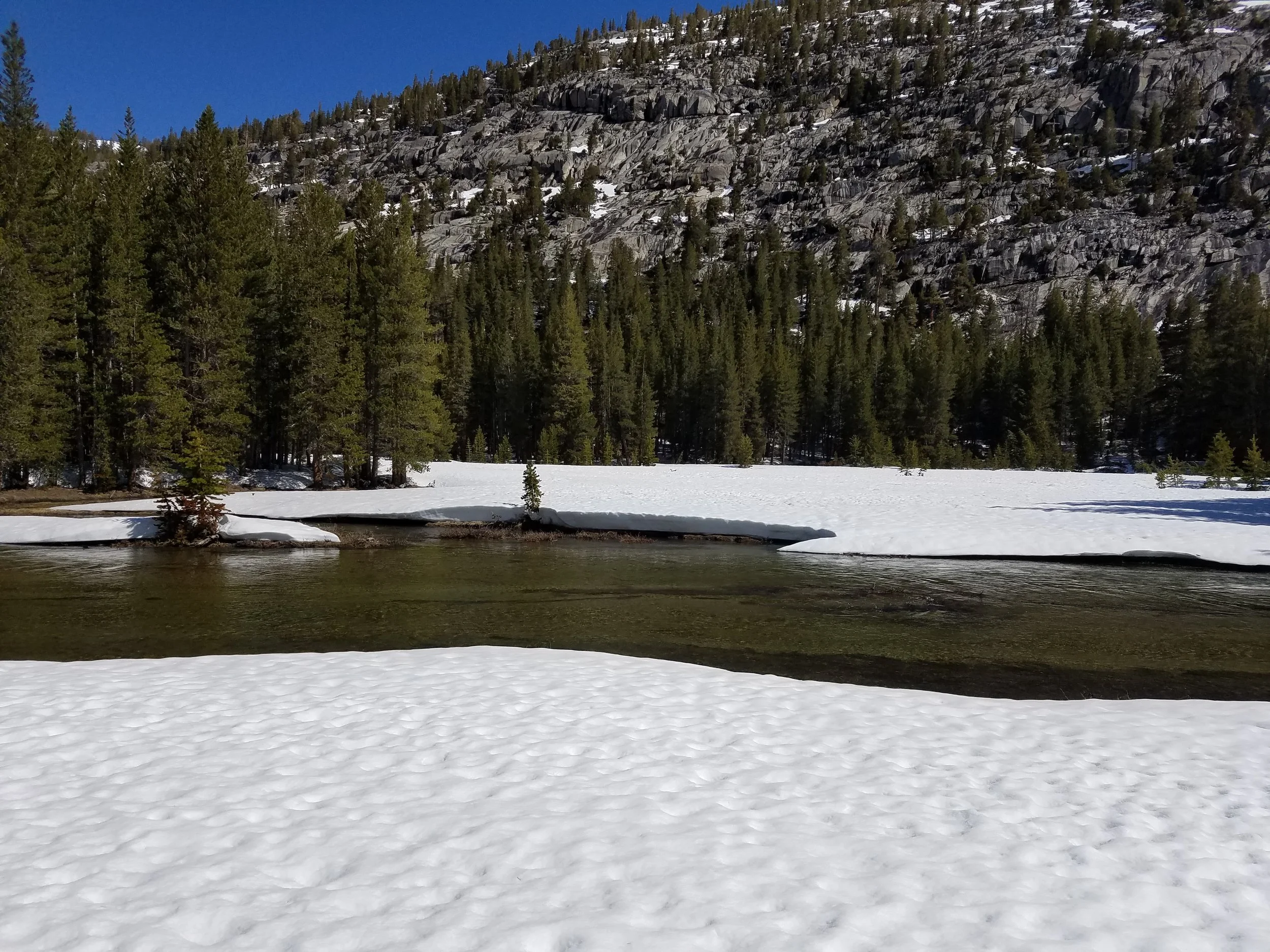 May 2017 - The meadow crossing of Evolution Creek. Slow moving, but deep. Thank God for upstream snowbridges.