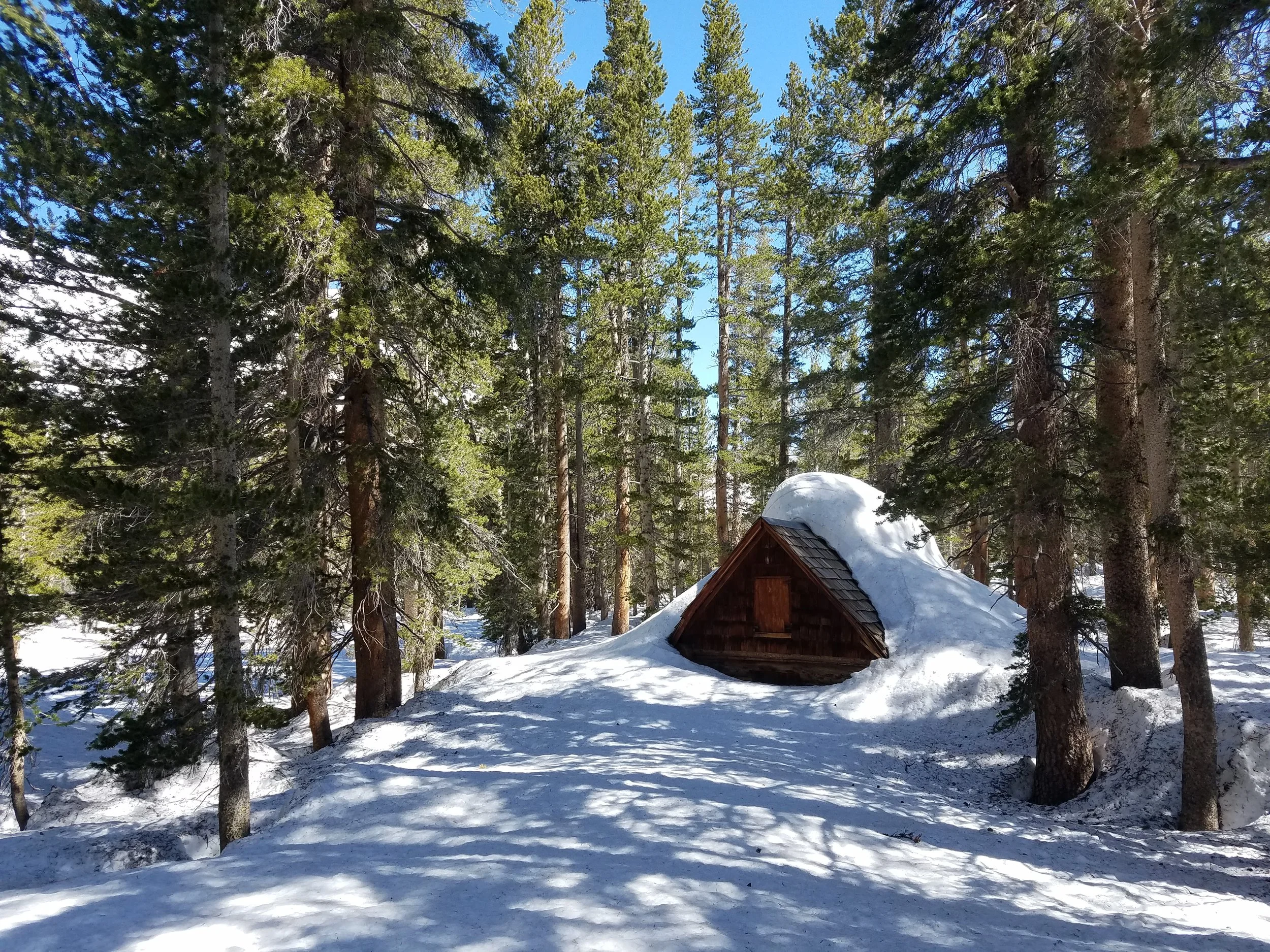 Buried cabin in the middle of the Sallie Keyes Lakes.