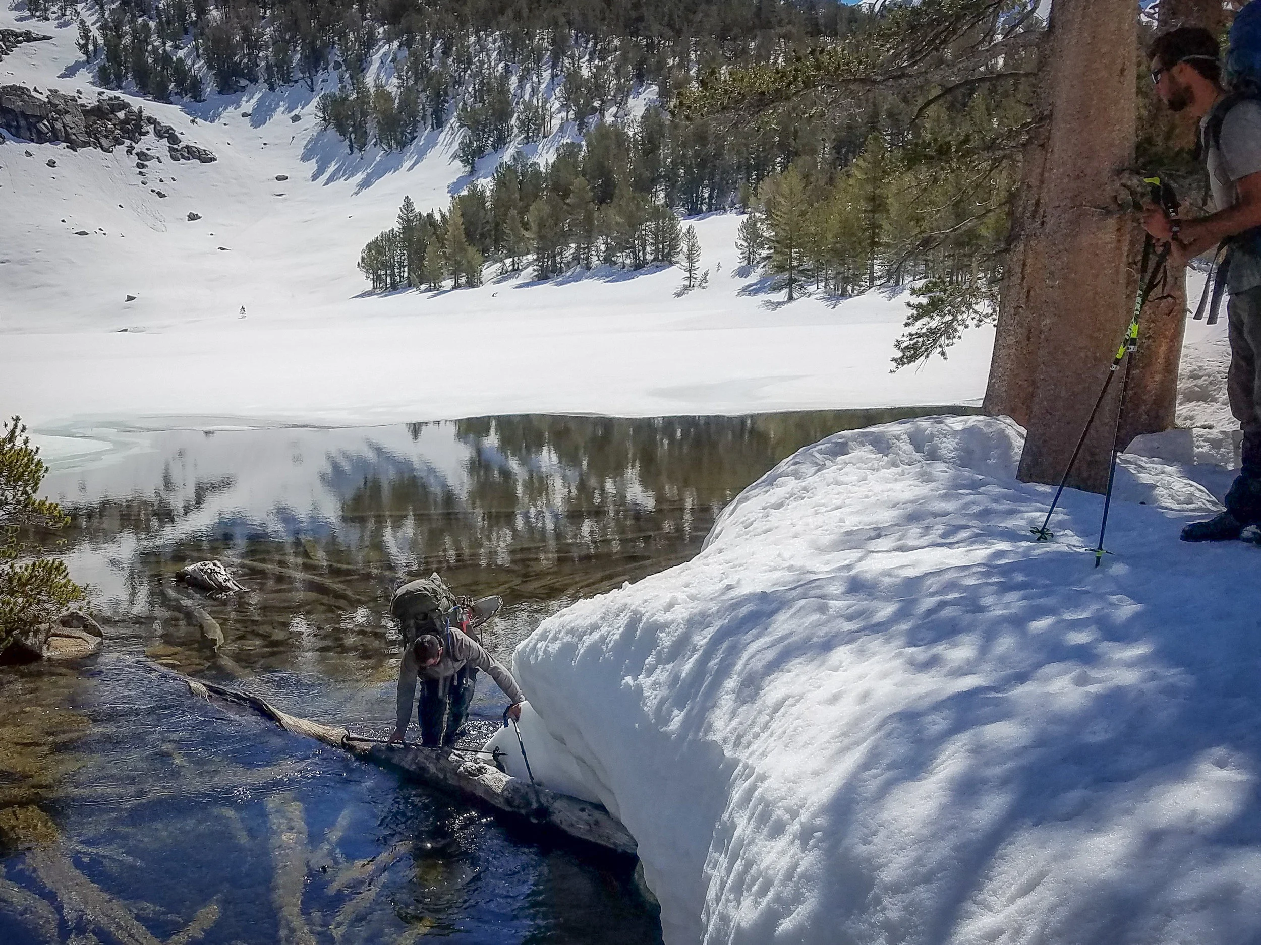 Amped, going for a quick dip in Sallie Keyes Lakes...
