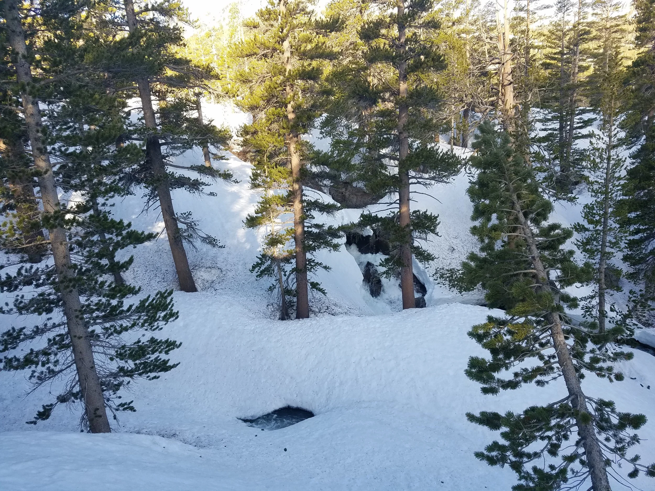 Snowbridges over the major Bear Creek tributaries.