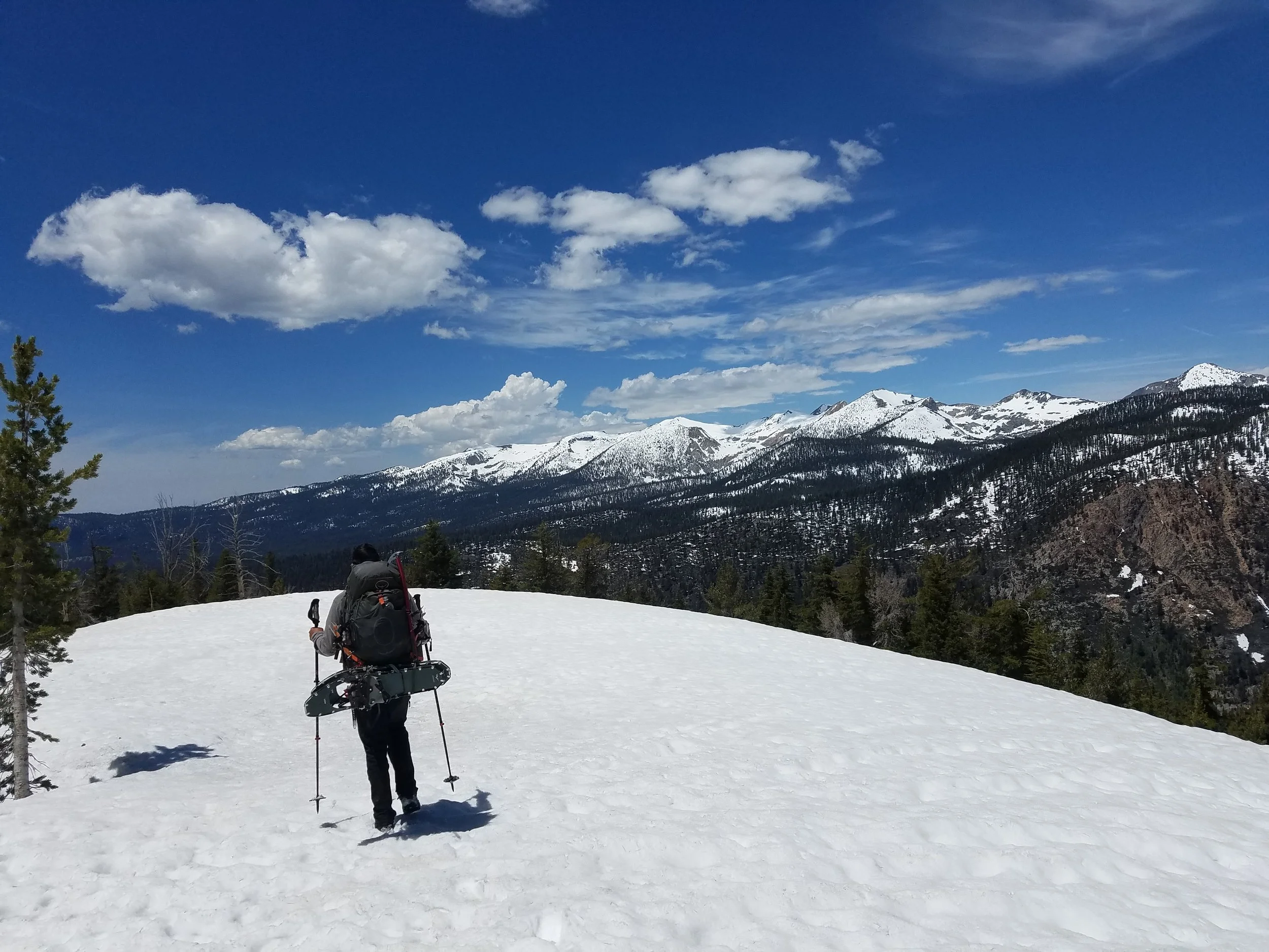 On top of Bear Ridge before the steep descent to camp.