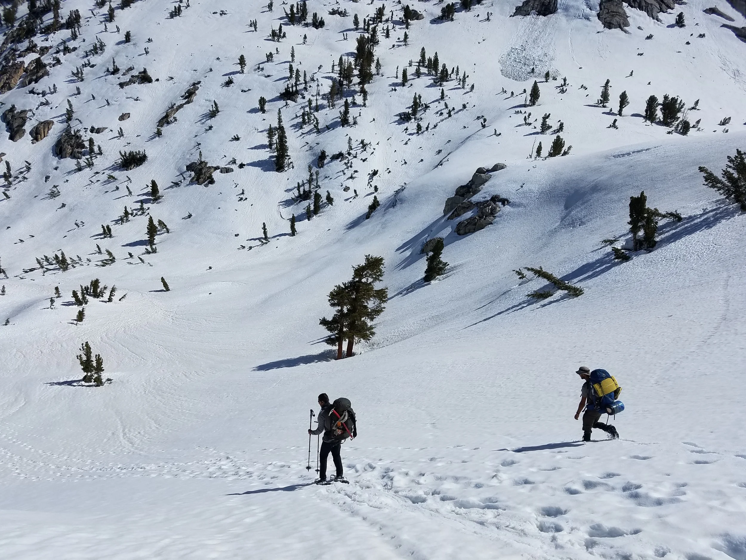 My teammates snowshoe-skiing and plunge-stepping down the perfect snow heading down to Fish Creek.