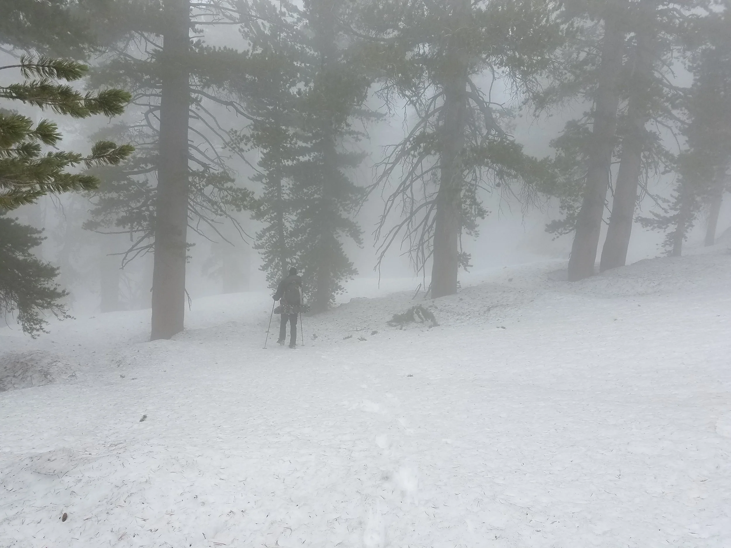 Moving through the fog towards Mammoth Pass.