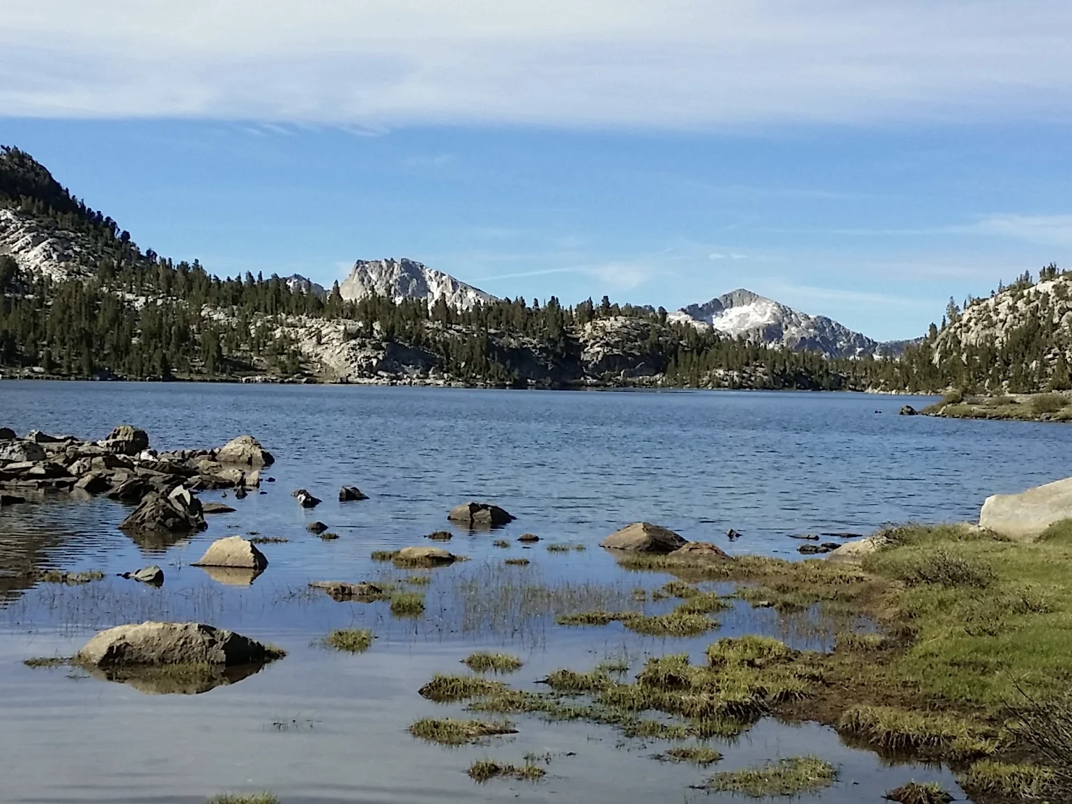 July 2016 - Virginia Lake in the summer.