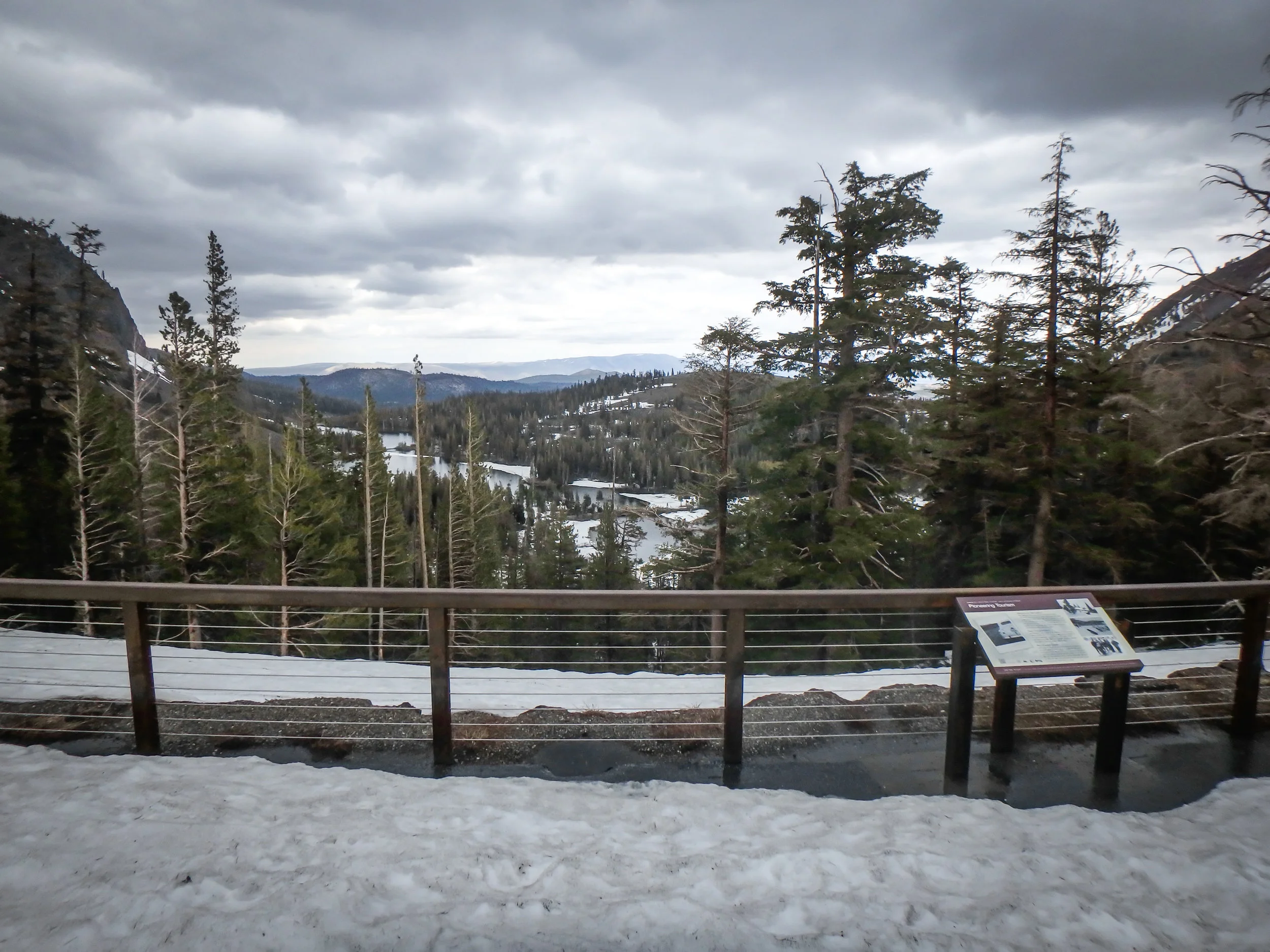 Signs of life in the Lakes Basin above Mammoth.