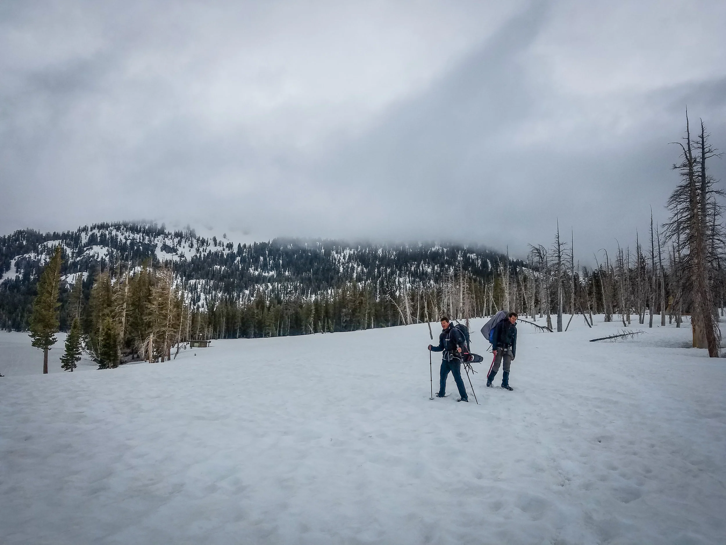 Amped and Thor emerging from the woods near Horseshoe Lake, ready to conquer Mammoth's food supply.