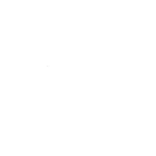 bulls.png