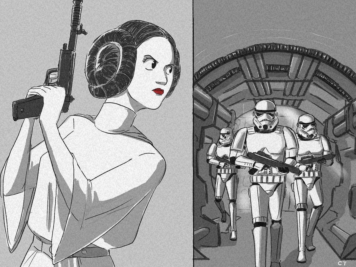 May the Fourth be with you
&bull;
&bull;
&bull;
#maythe4thbewithyou #princessleia #stormtrooper #starwars #starwarsday #cjterryart
