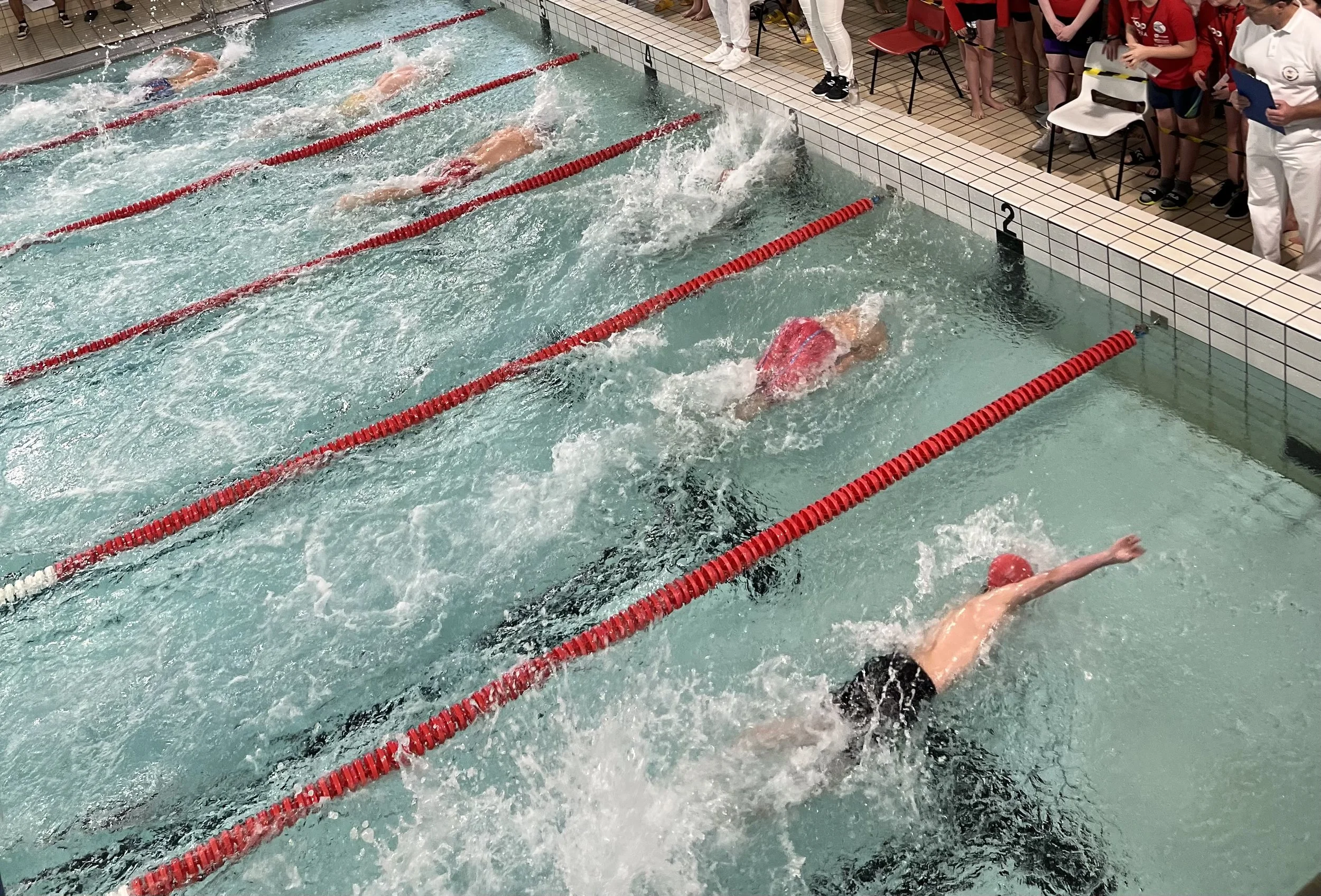 *** AVLYST *** Saltentreffet