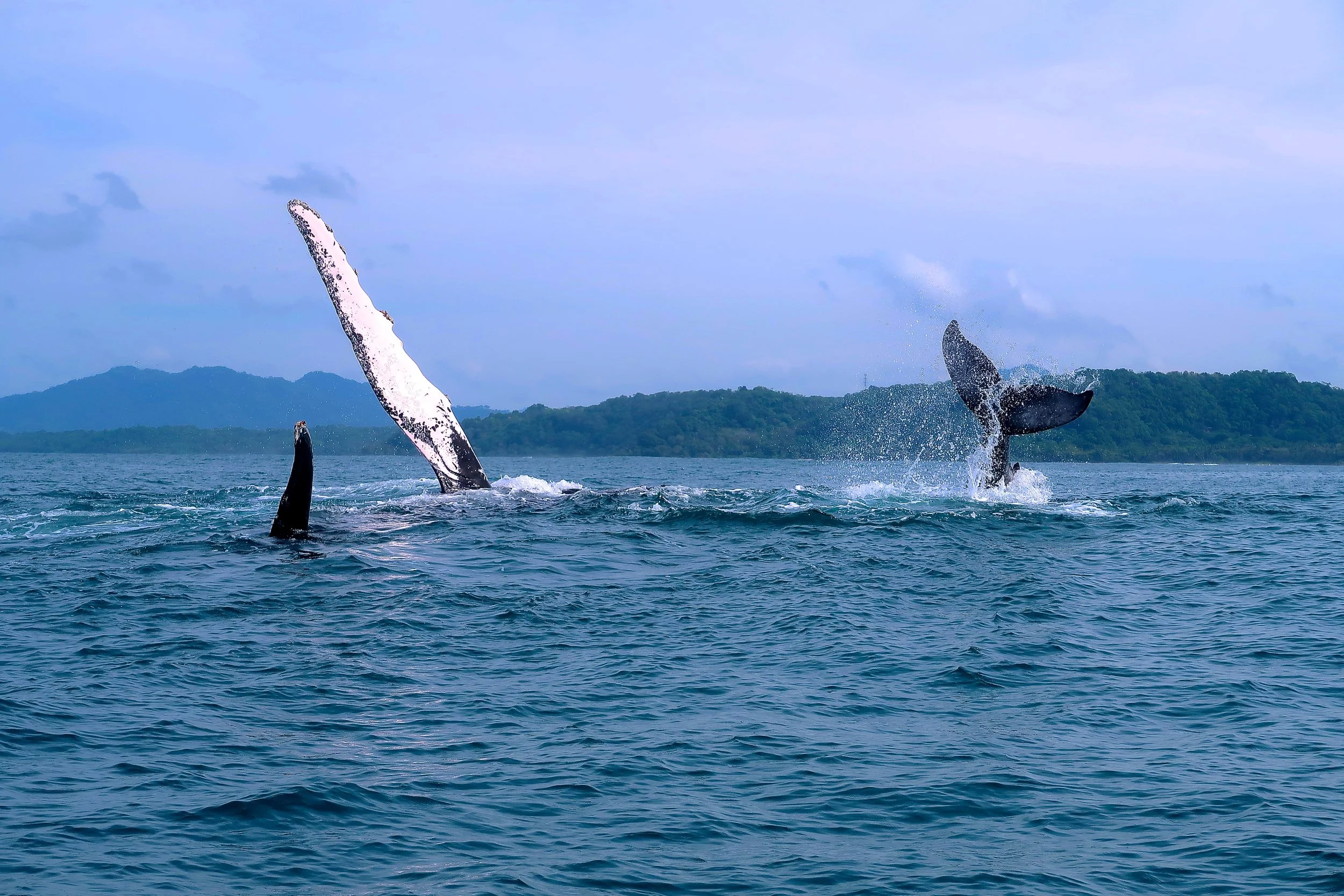 Mom and baby having a Blast!