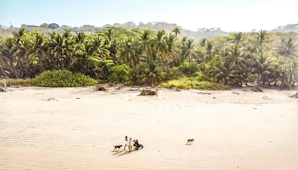 WhatsApp Image 2024-04-23 at 15.33.56.jpeg