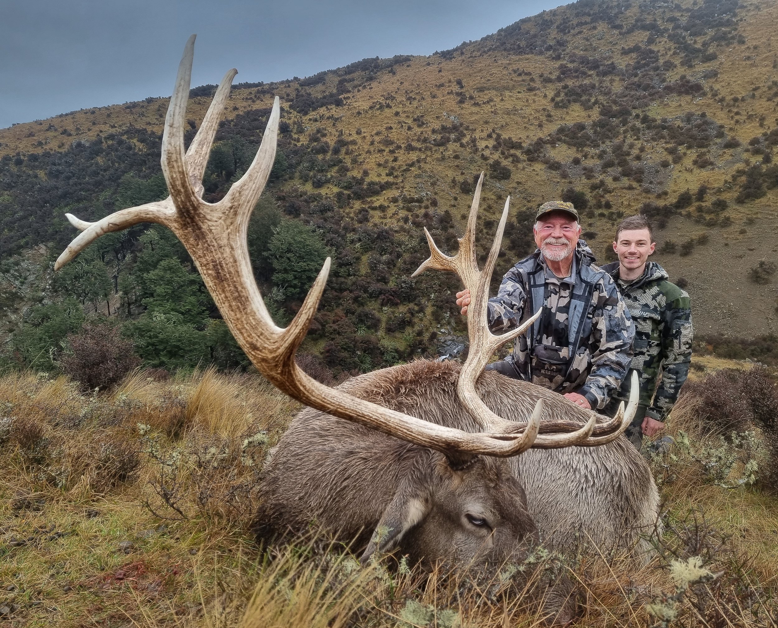 New Zealand Elk / Wapiti $6,999