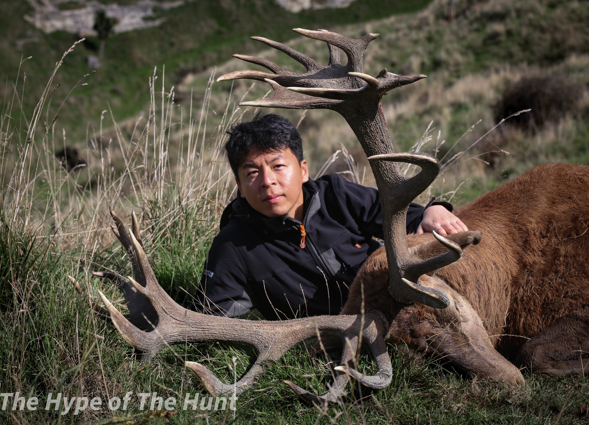 Gold Class Red Stag 371-400 SCI $8,499