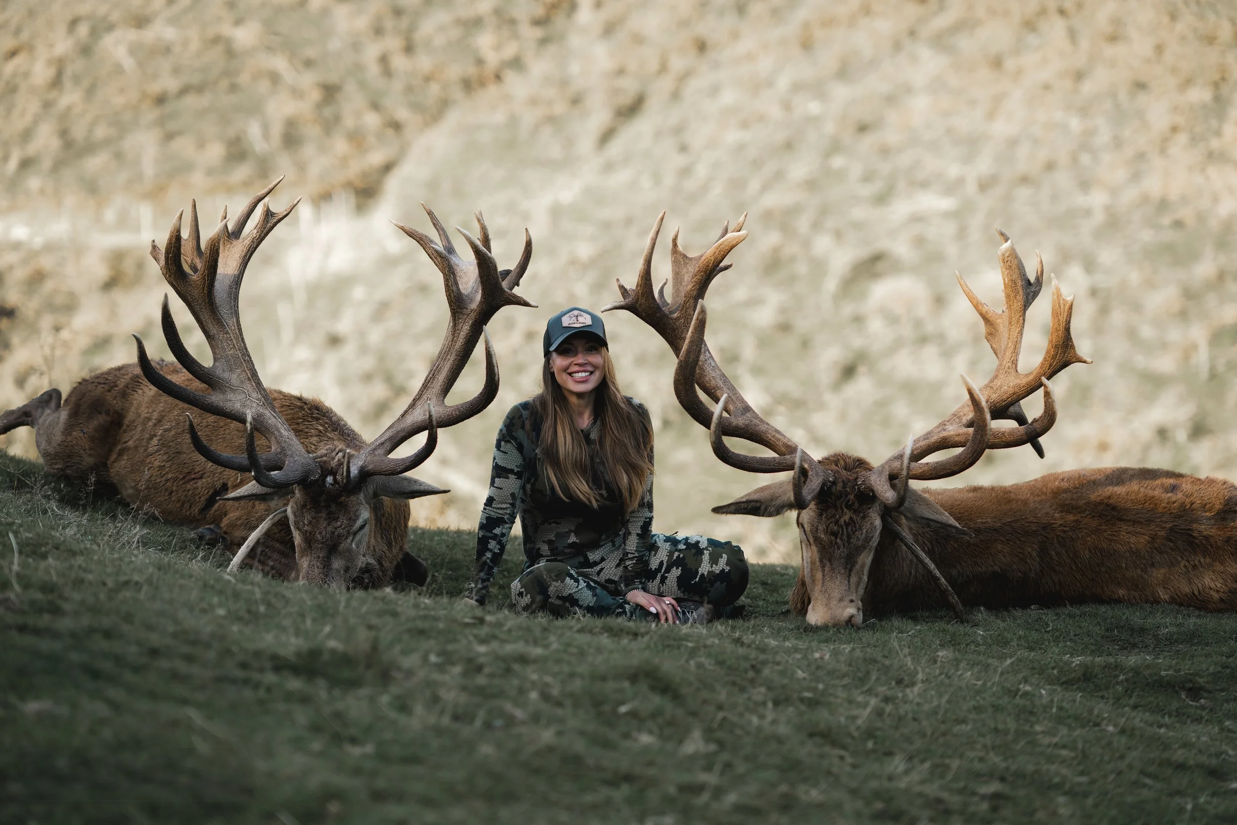 Red Stag New Zealand