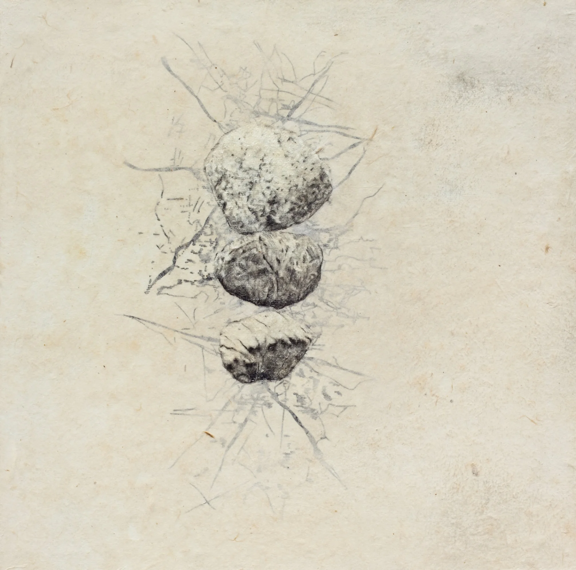 Composition 41