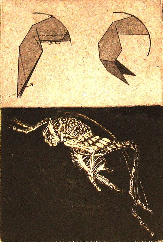  Intaglio aquatint and chine-colle on rice and cotton rag papers. 