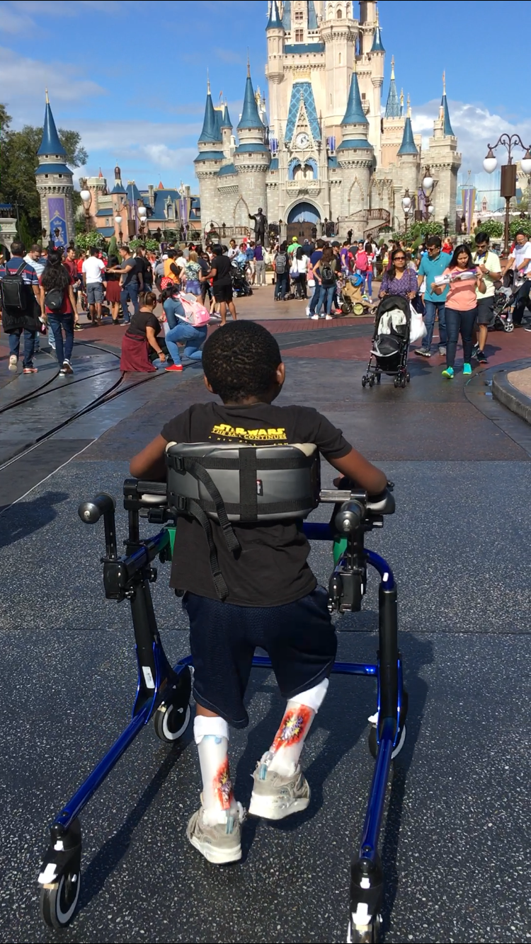 Of Mickey Mouse and Congressmen (by Sandra Joy Stein)